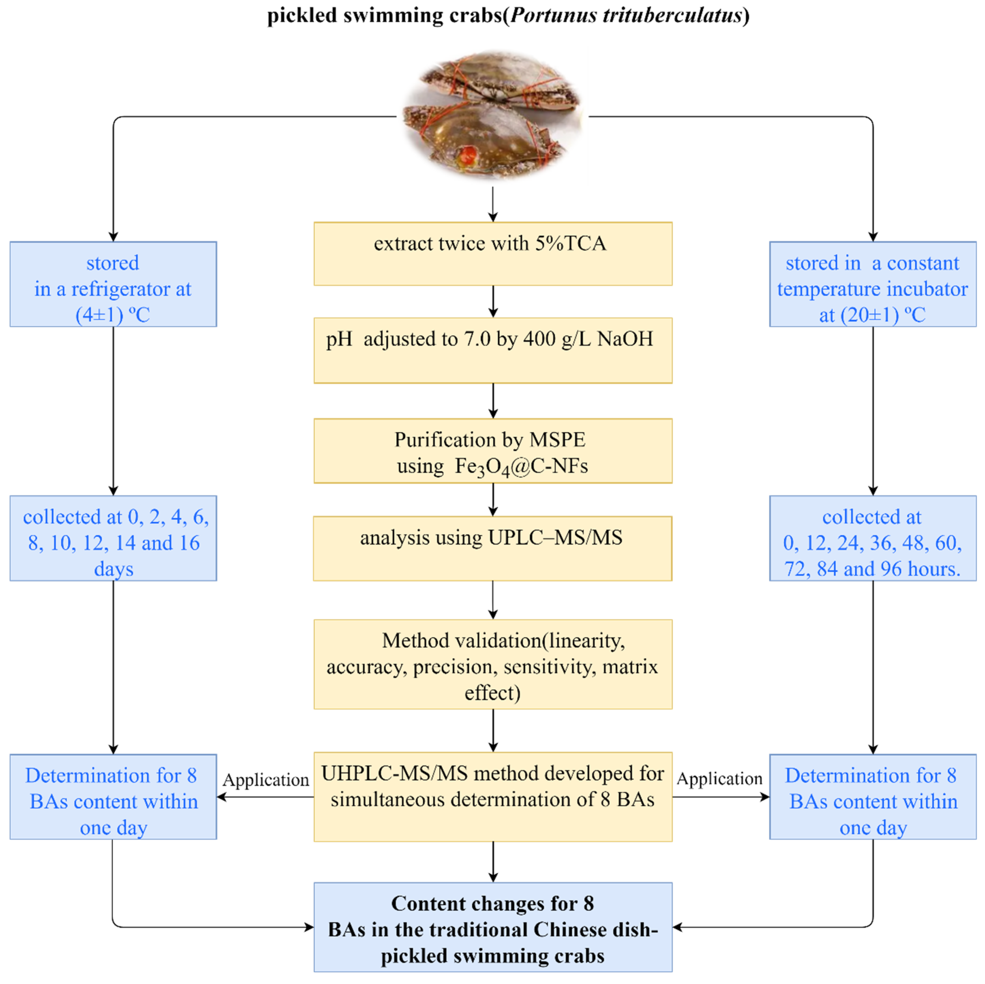 Molecules 30 01353 g001