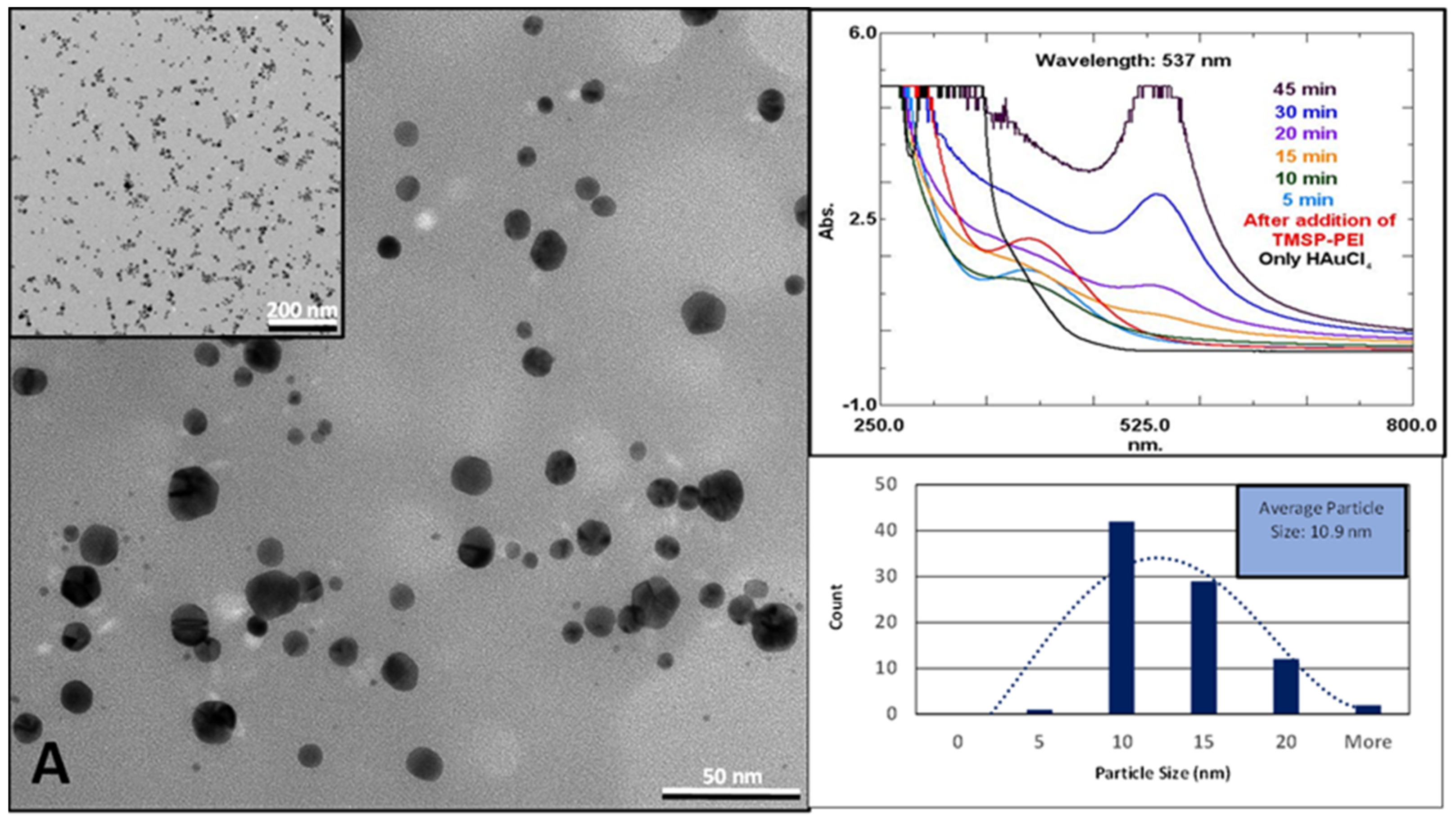 Molecules 30 01355 g002a