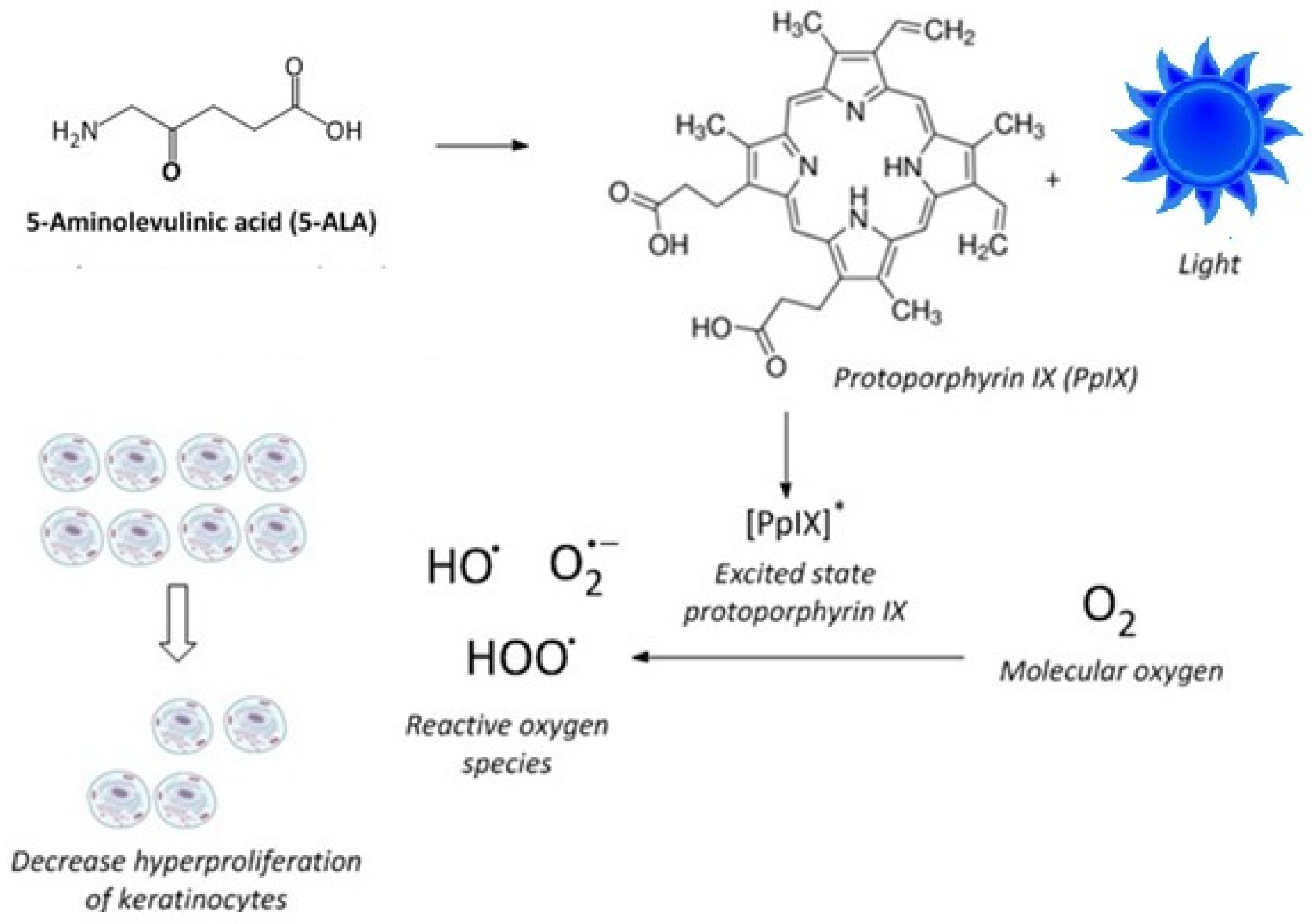 Molecules 30 01359 g001