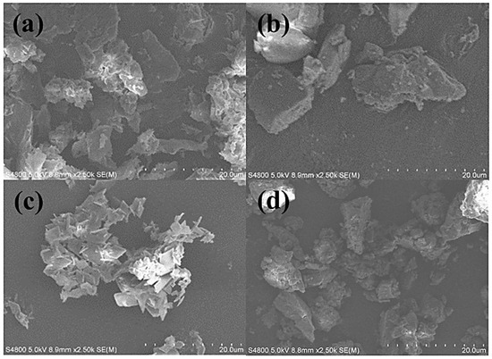 Characterization and In Vitro Prebiotic Activity of Pterostilbene