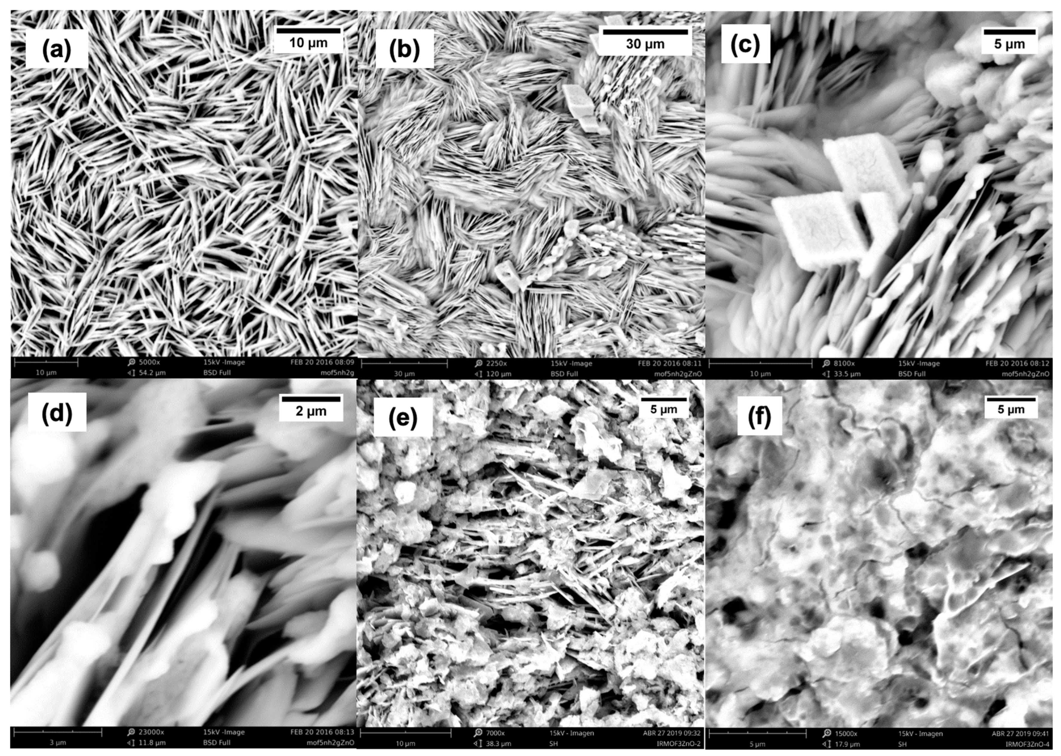 Molecules 30 01375 g001