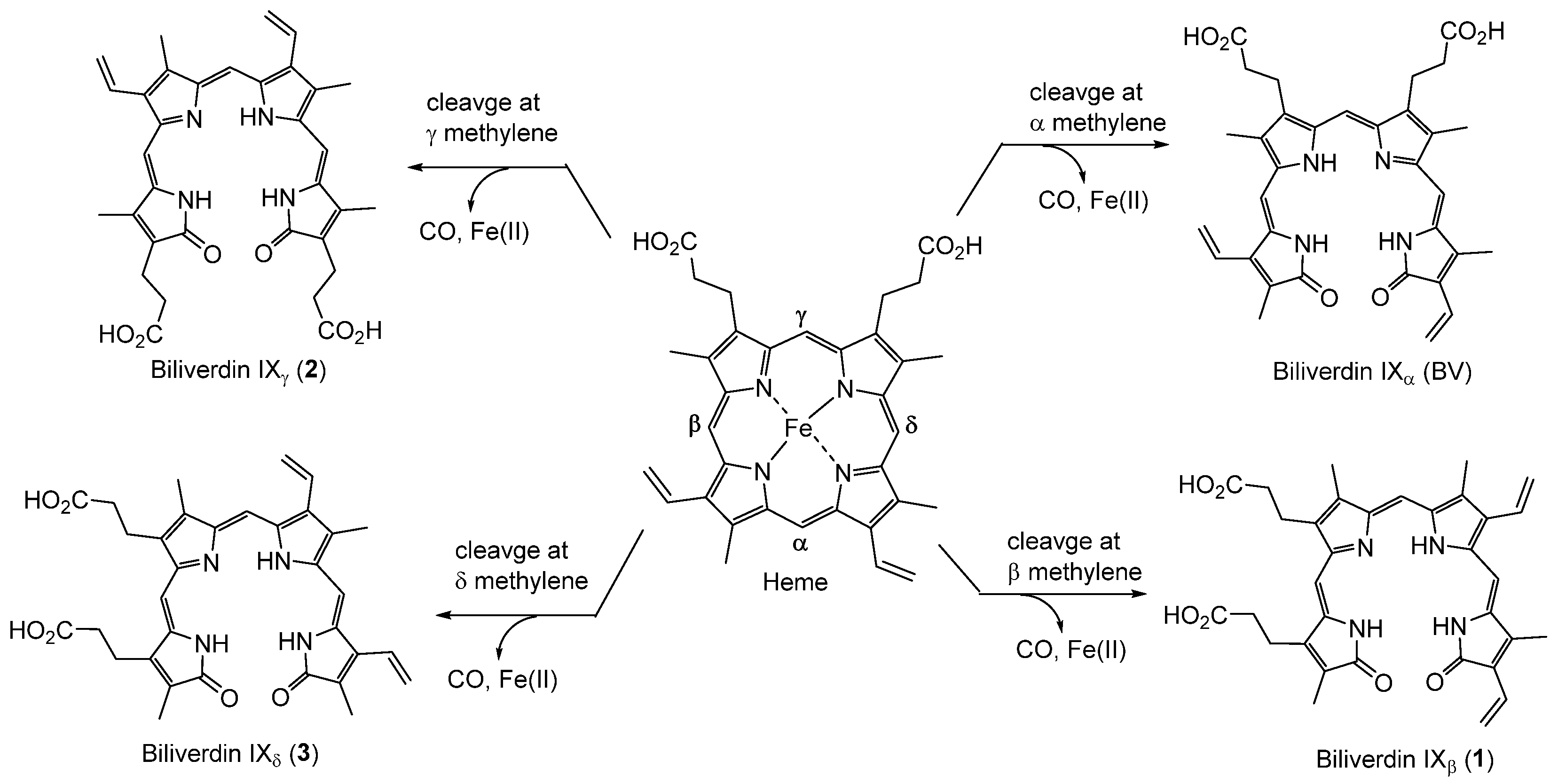 Molecules 30 01379 g001