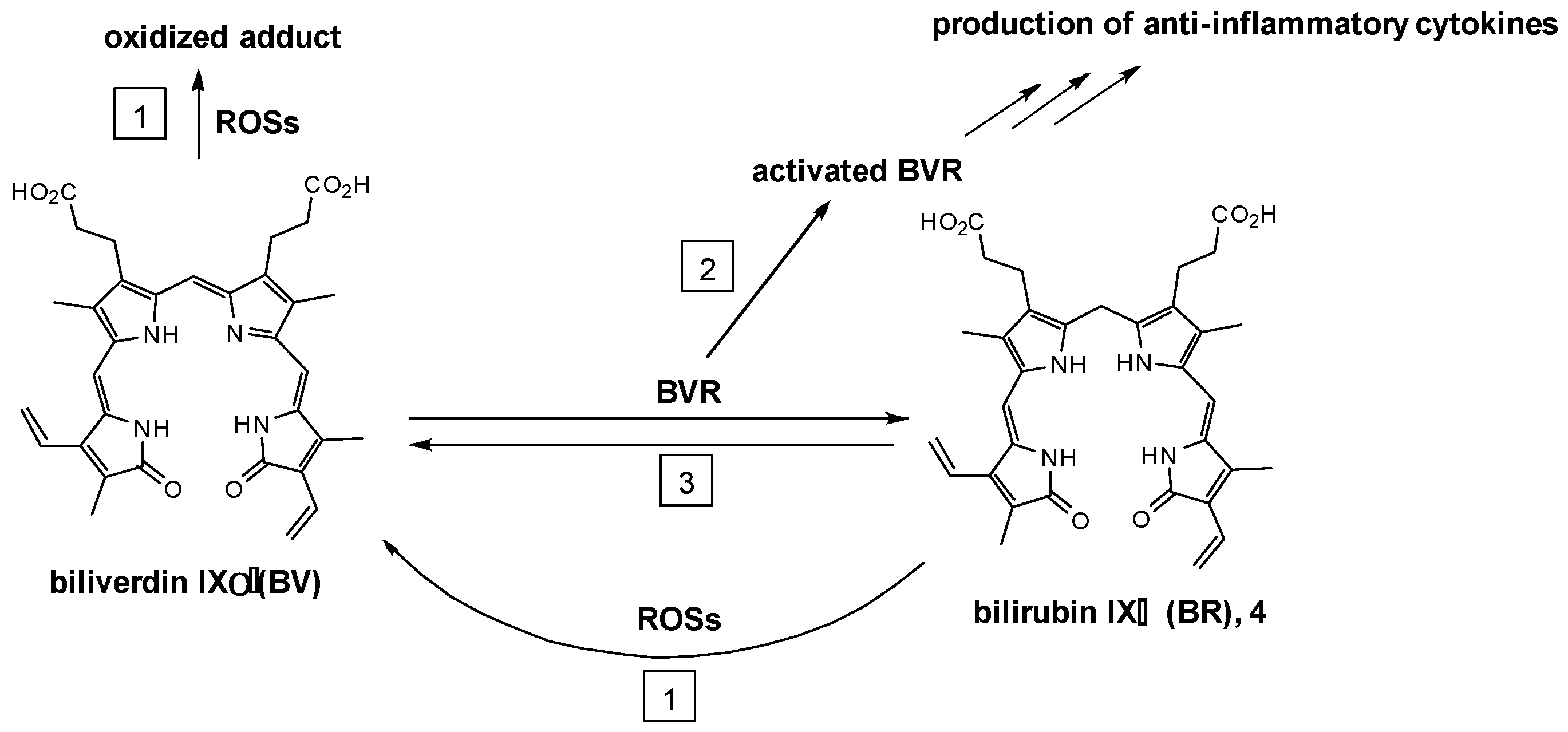 Molecules 30 01379 g002