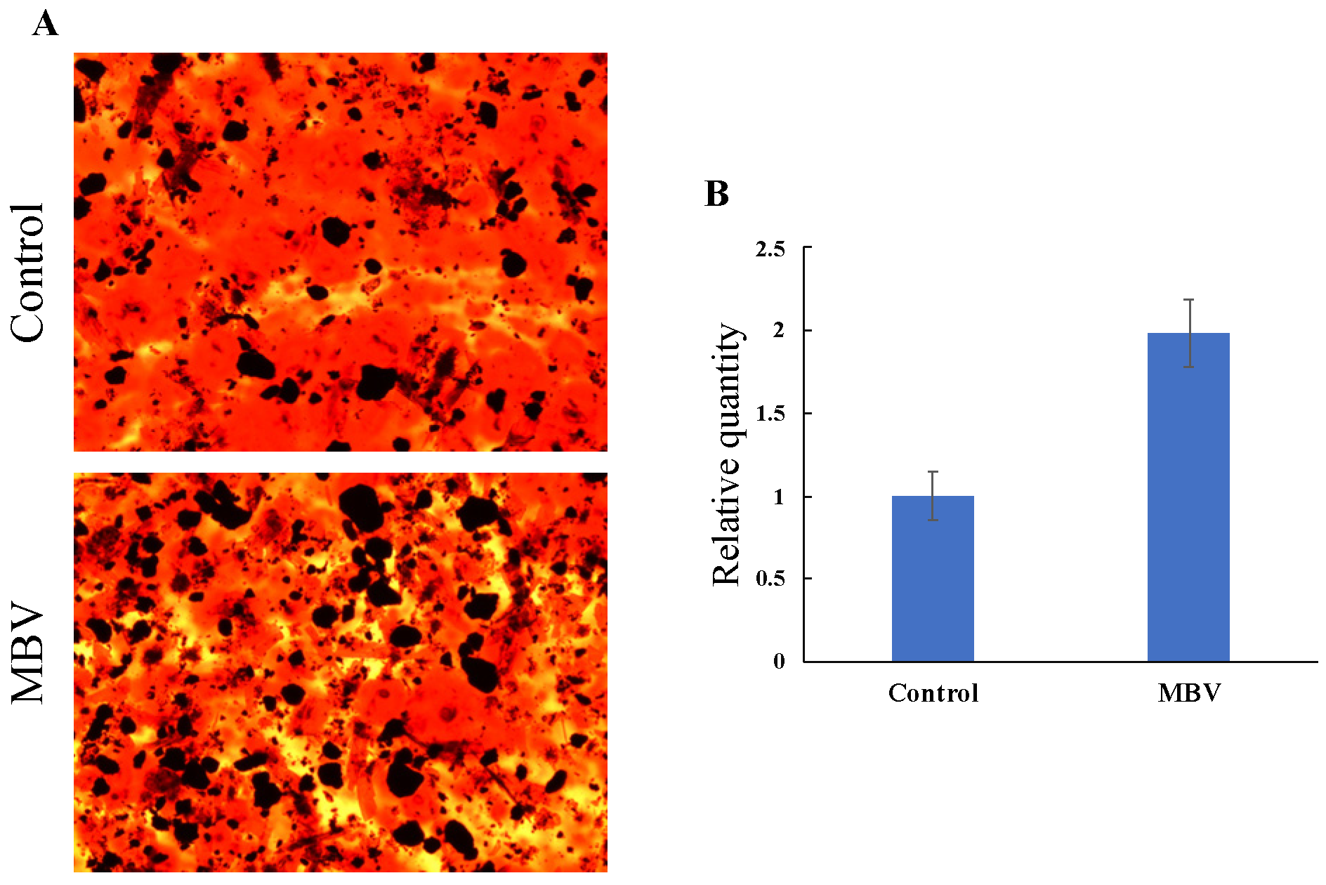 Molecules 30 01379 g011