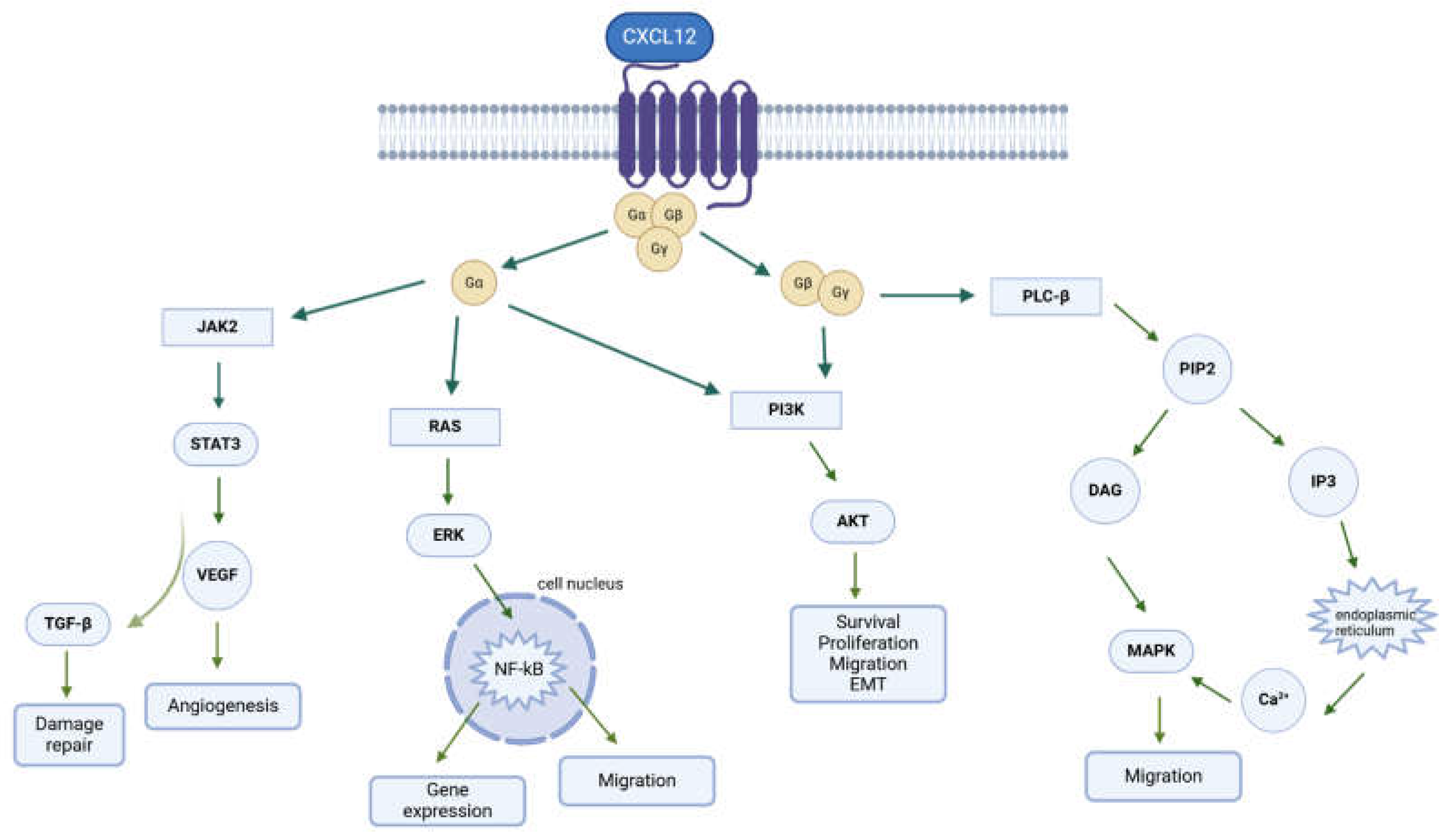 Molecules 30 01380 g002