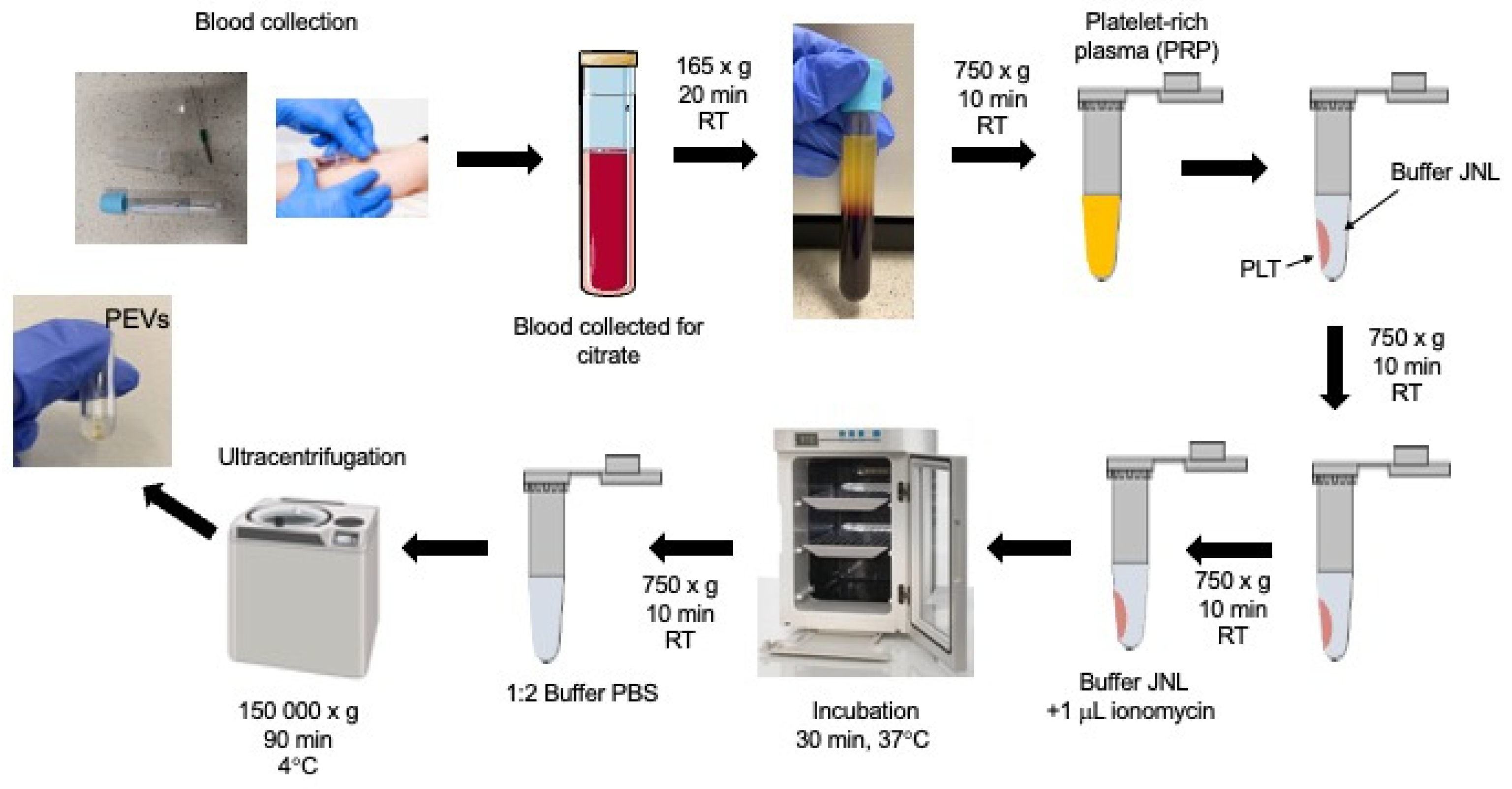 Molecules 30 01384 g010