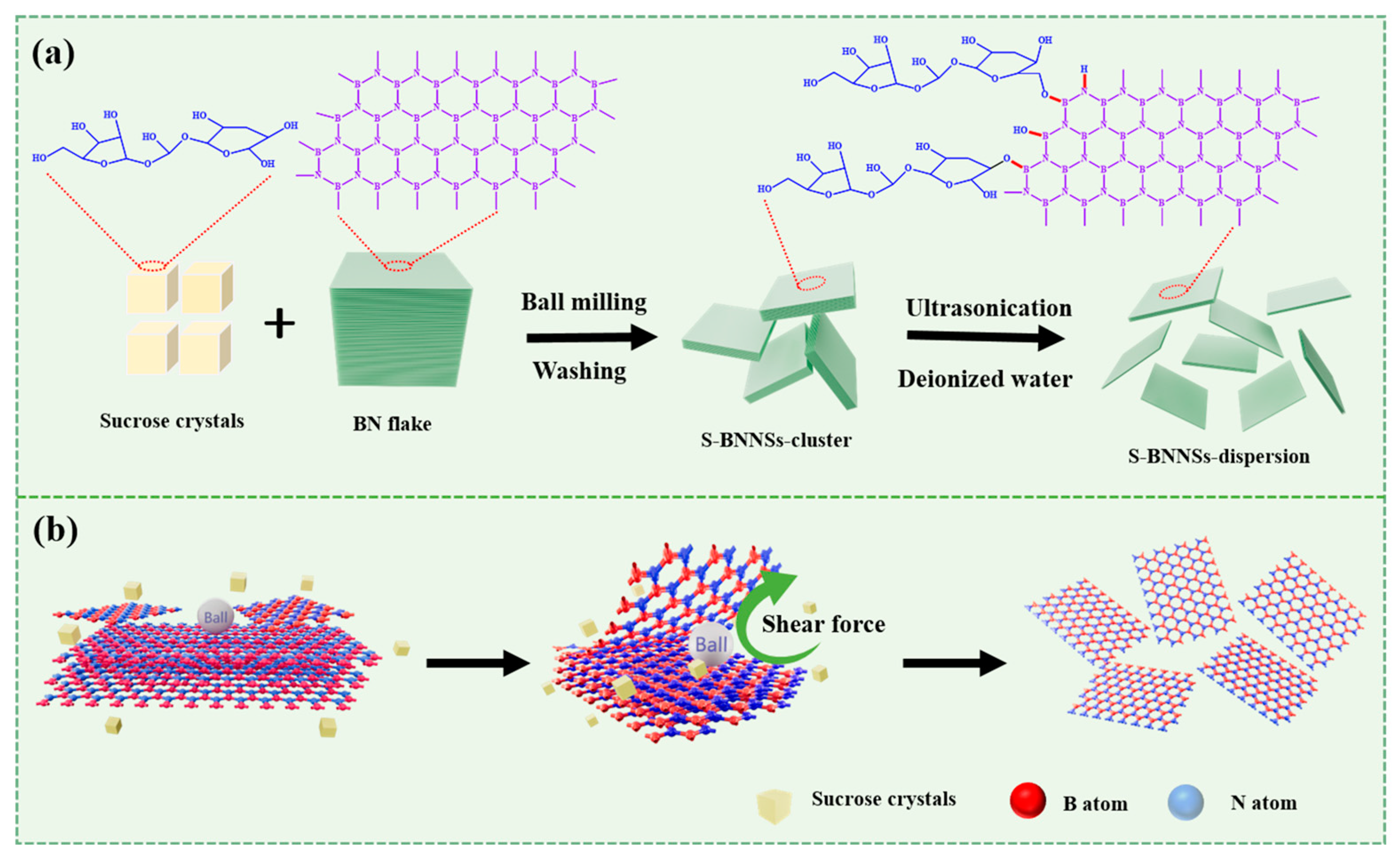 Molecules 30 01385 g001