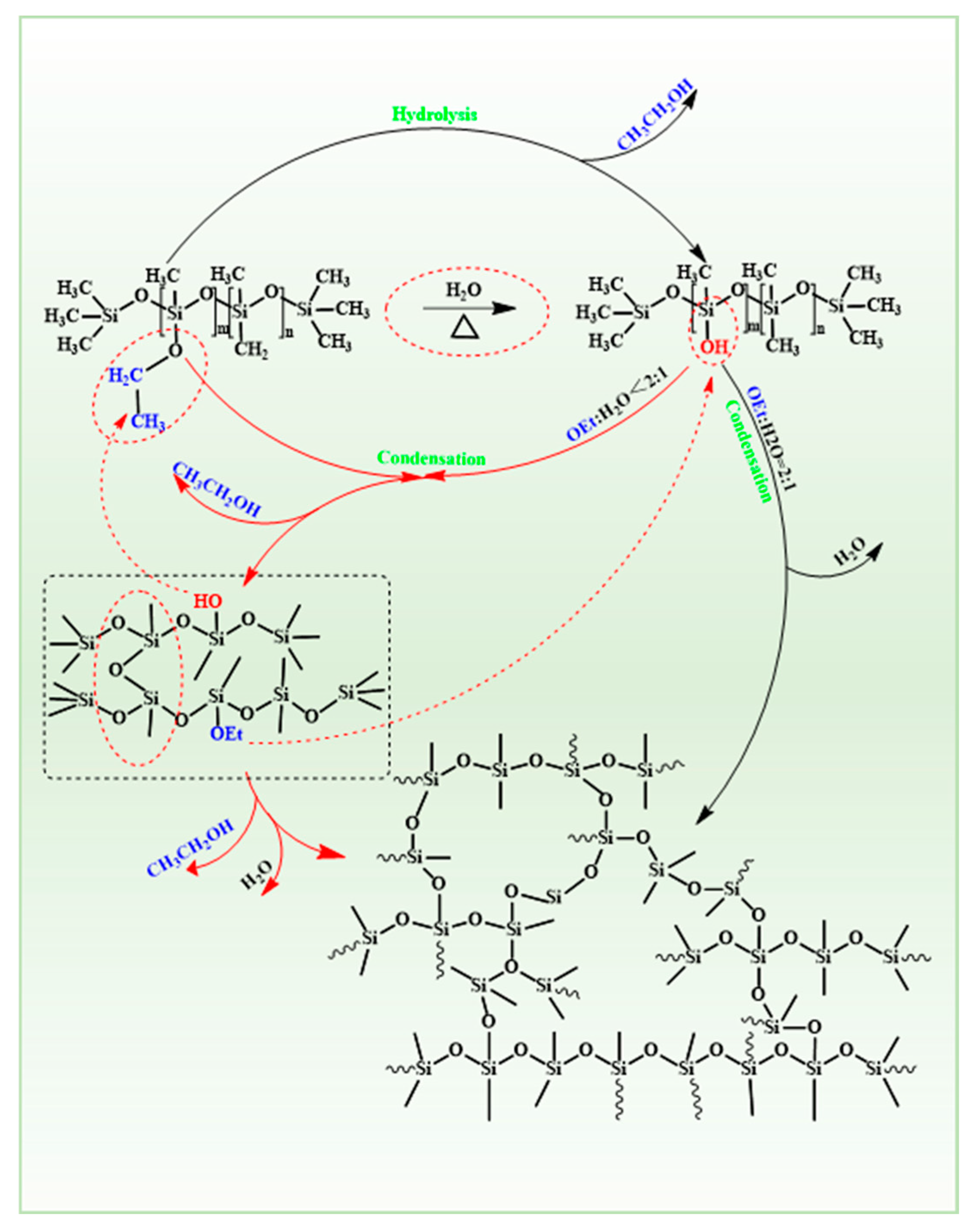 Molecules 30 01385 g006