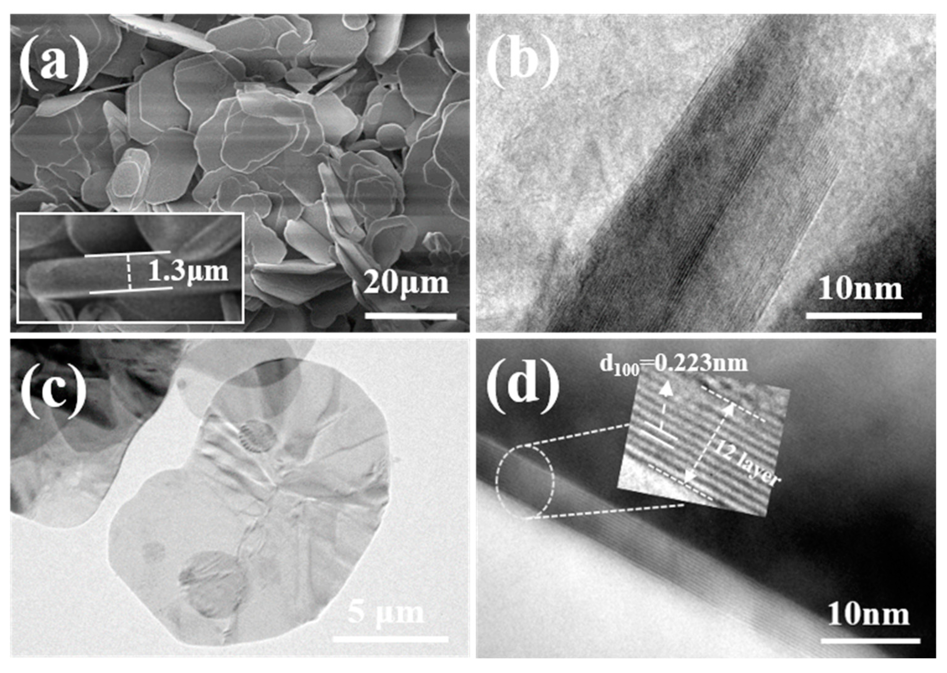 Molecules 30 01385 g010