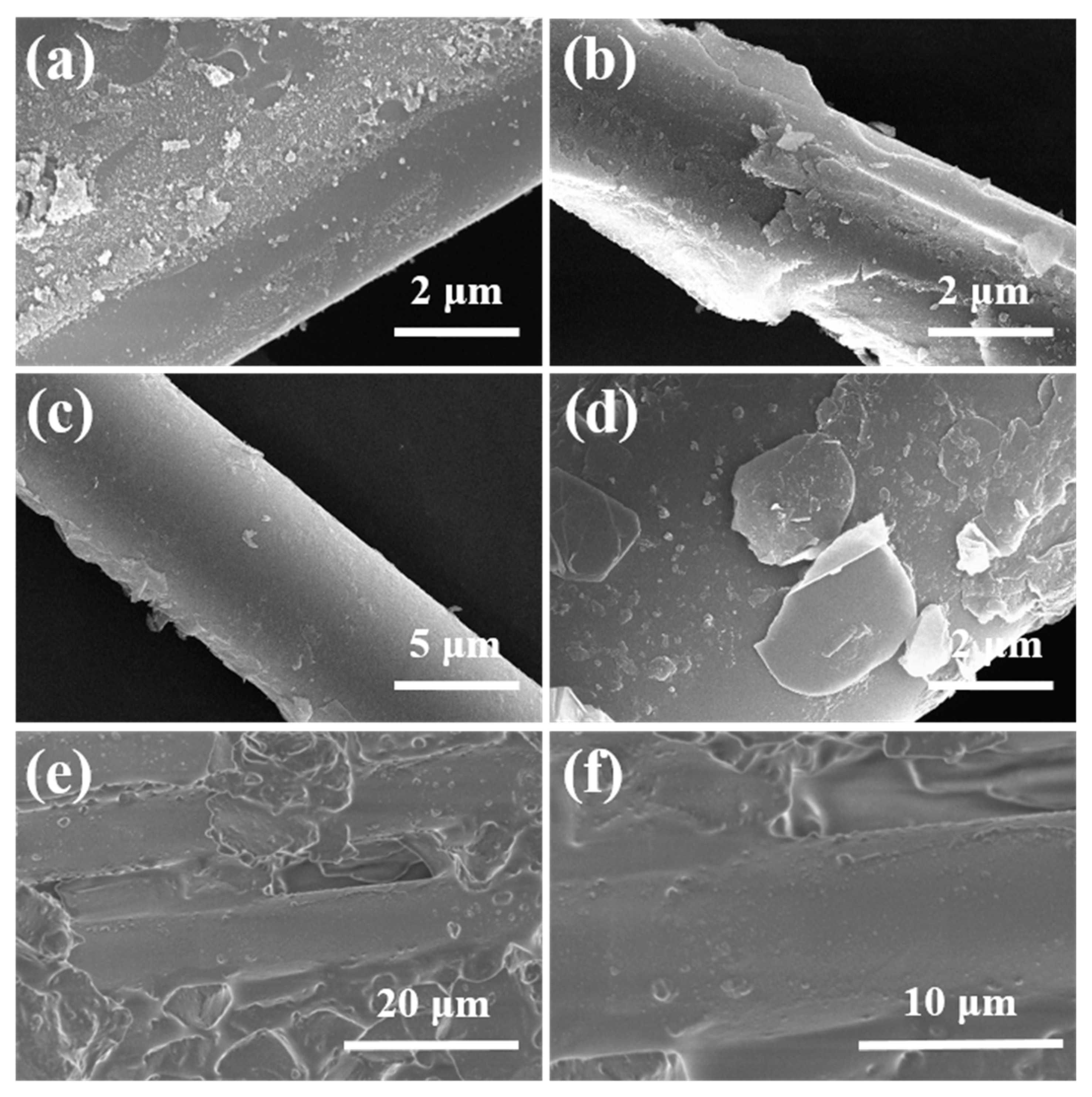 Molecules 30 01385 g011