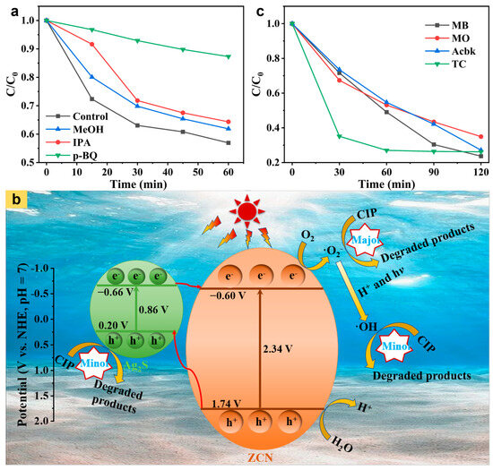 Ag2S/Zn2+-Decorated g-C3N4 Type-II Heterojunction with Wide