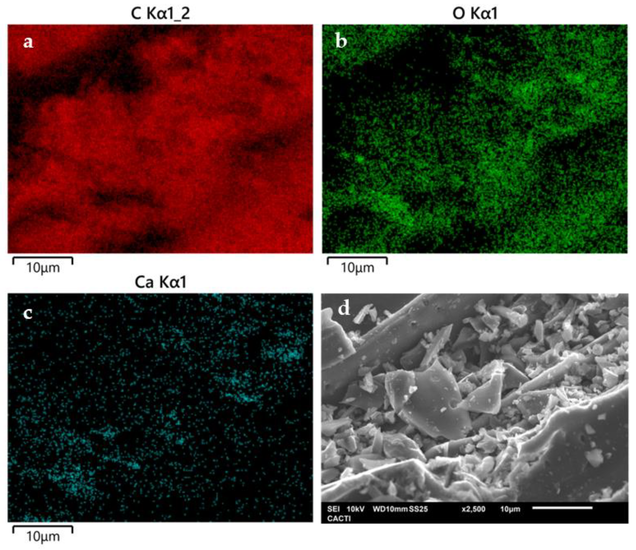 Molecules 30 01435 g002