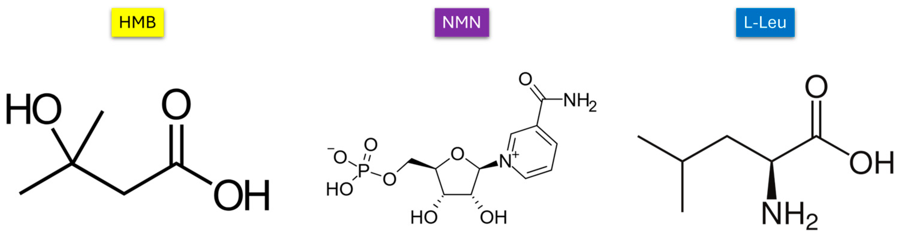 Molecules 30 01437 g001