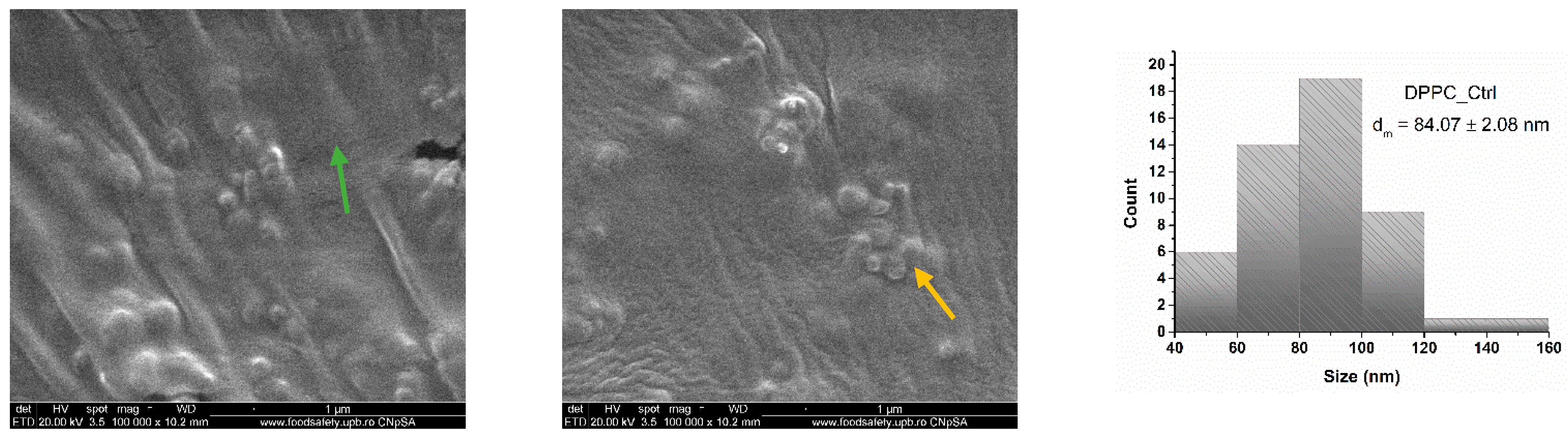 Molecules 30 01437 g004