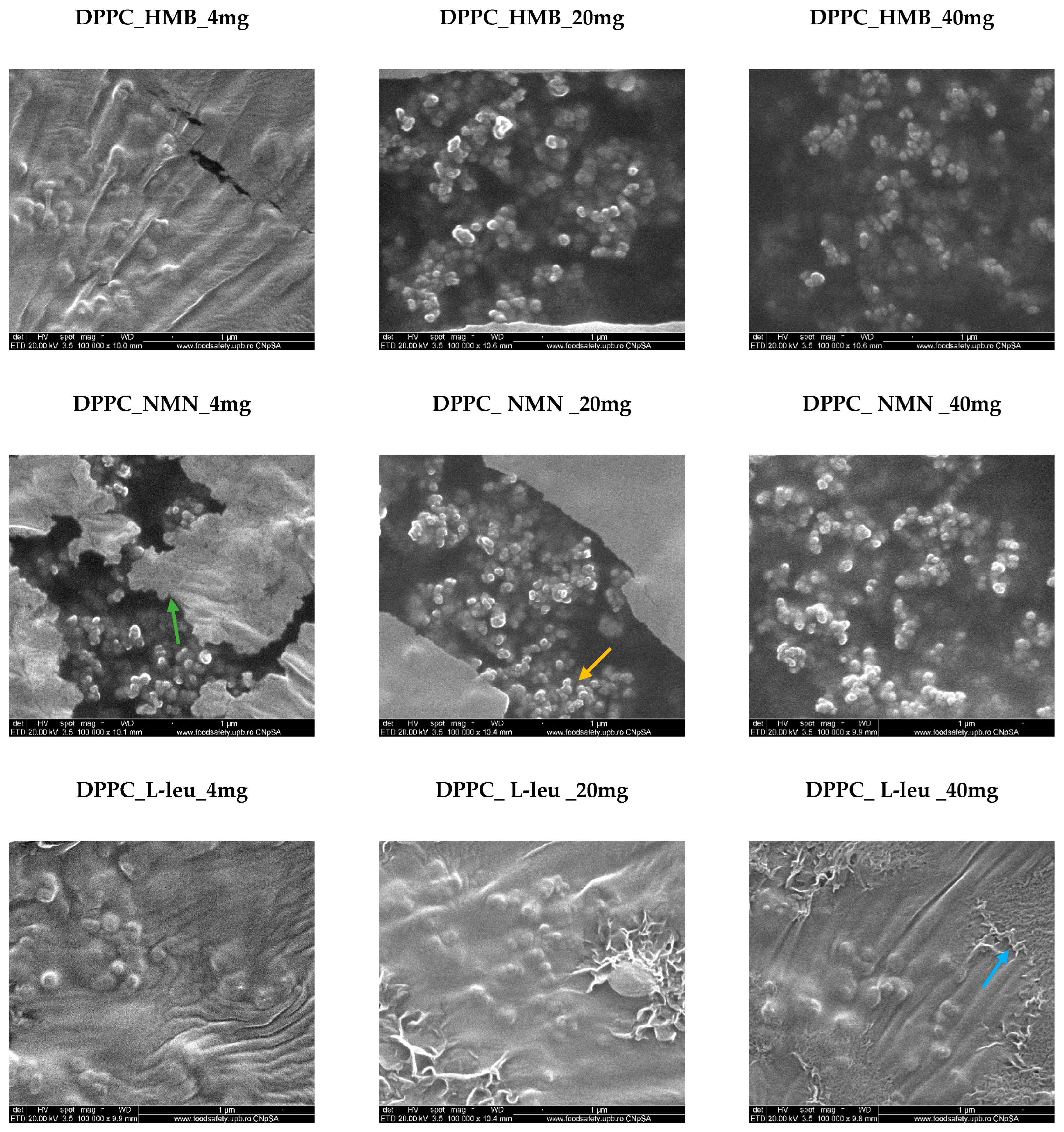 Molecules 30 01437 g005