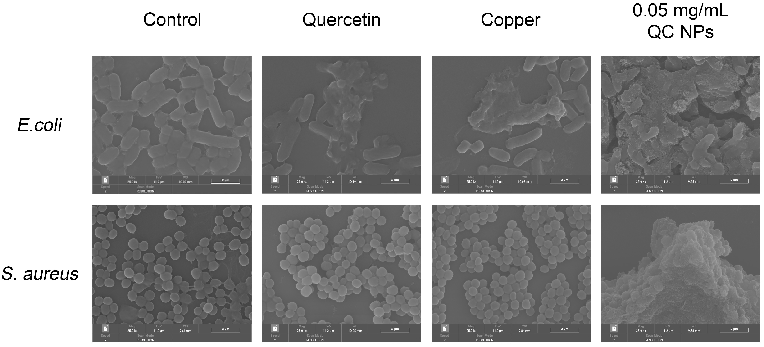 Molecules 30 01438 g005