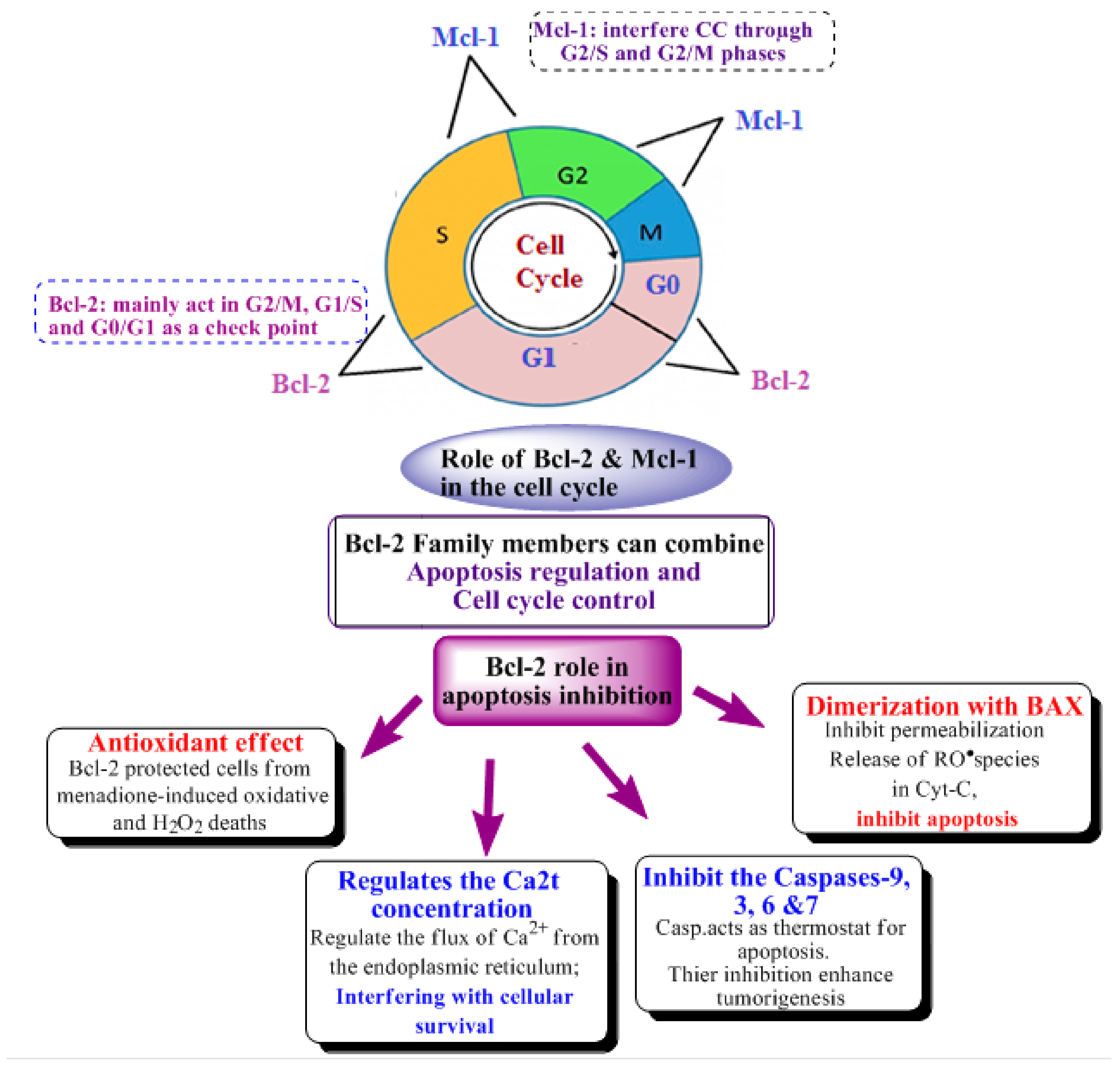 Molecules 30 01453 g002