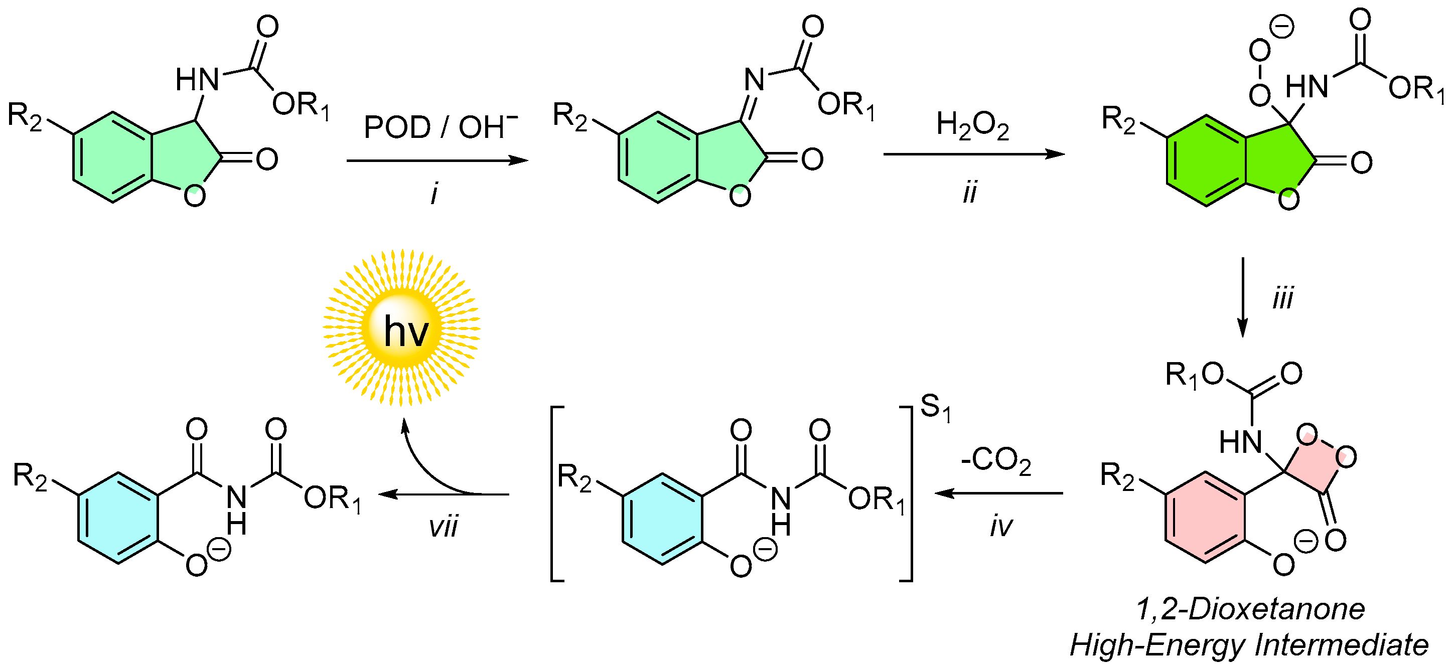Molecules 30 01459 g008