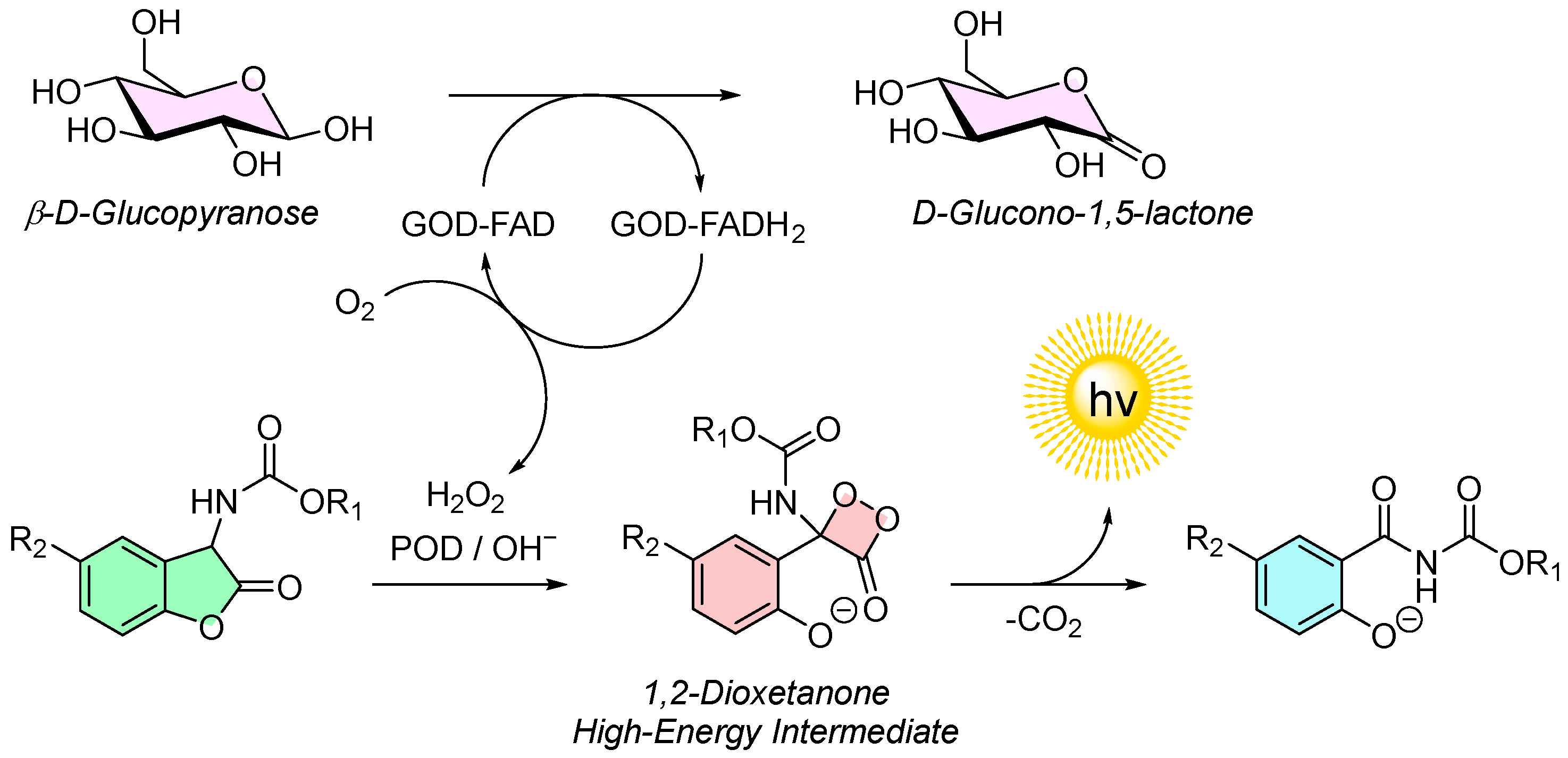 Molecules 30 01459 g009