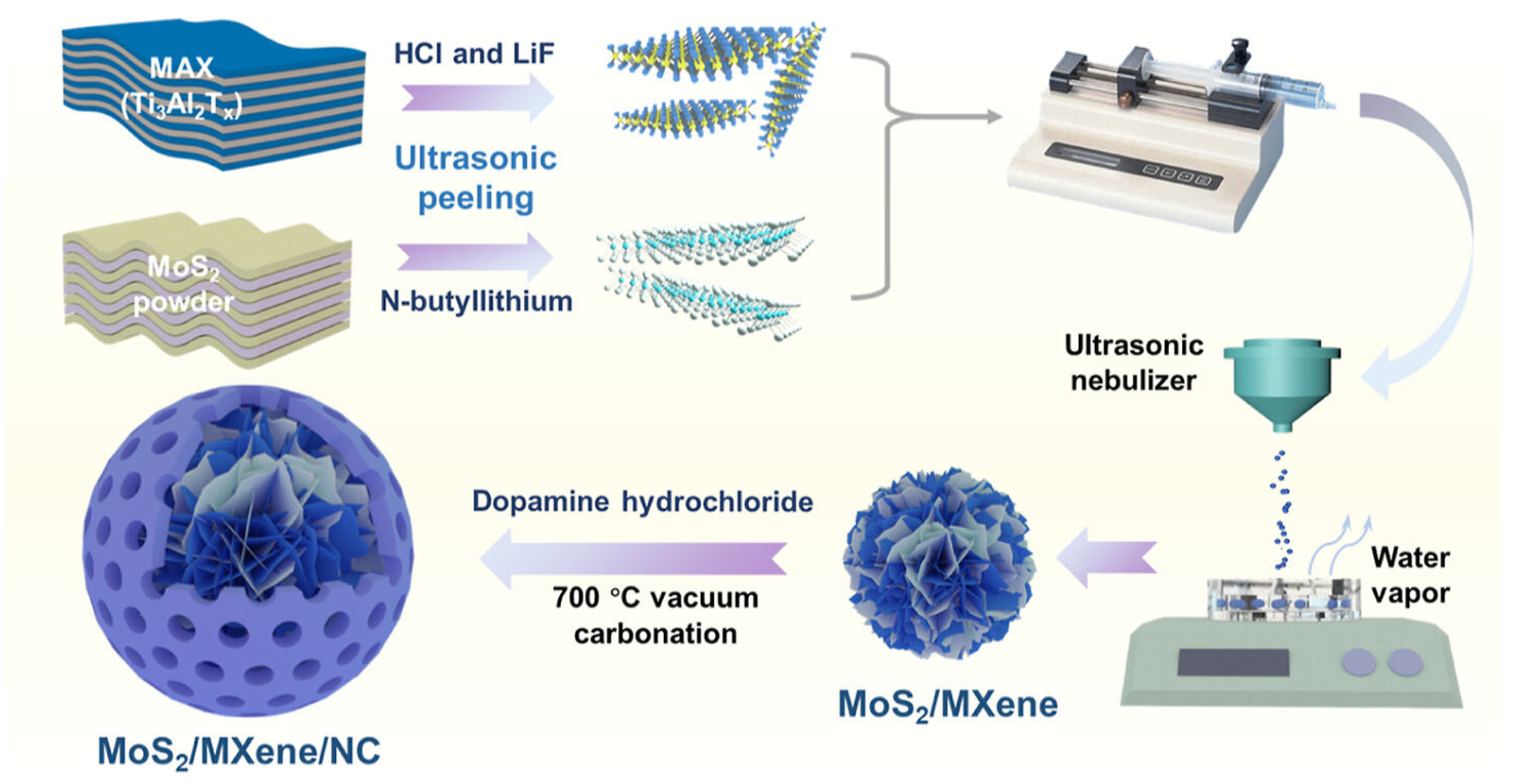 Molecules 30 01463 g006