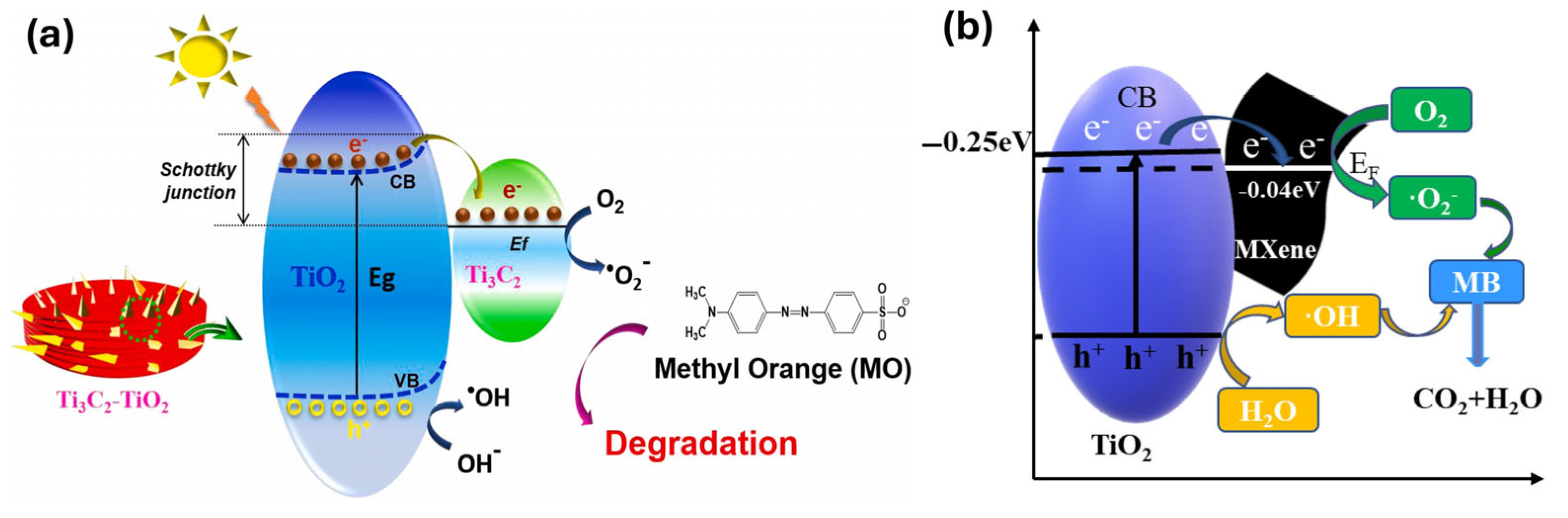 Molecules 30 01463 g008