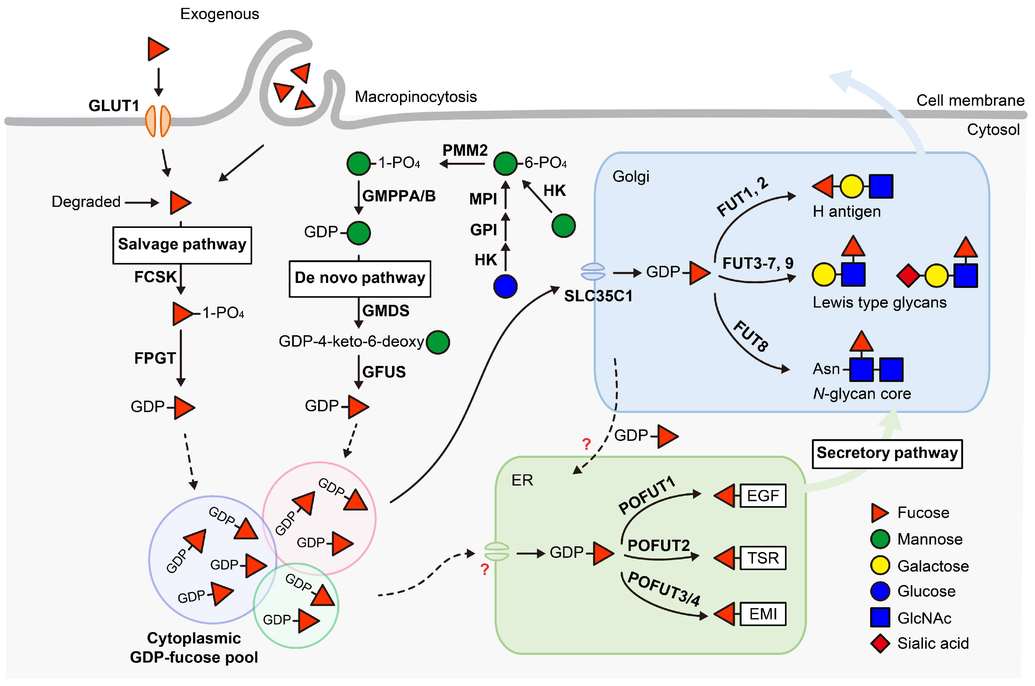 Molecules 30 01470 g001