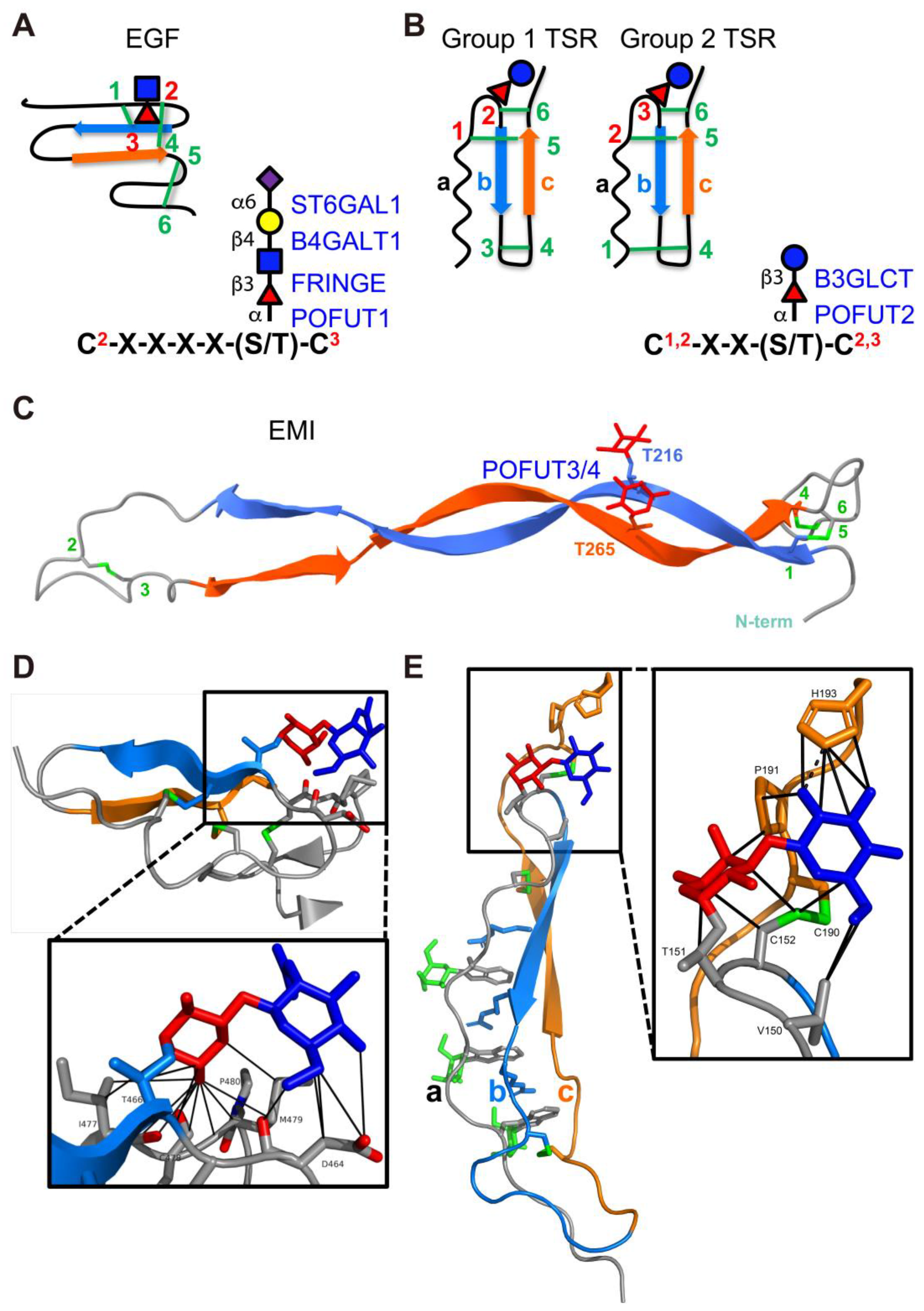Molecules 30 01470 g003