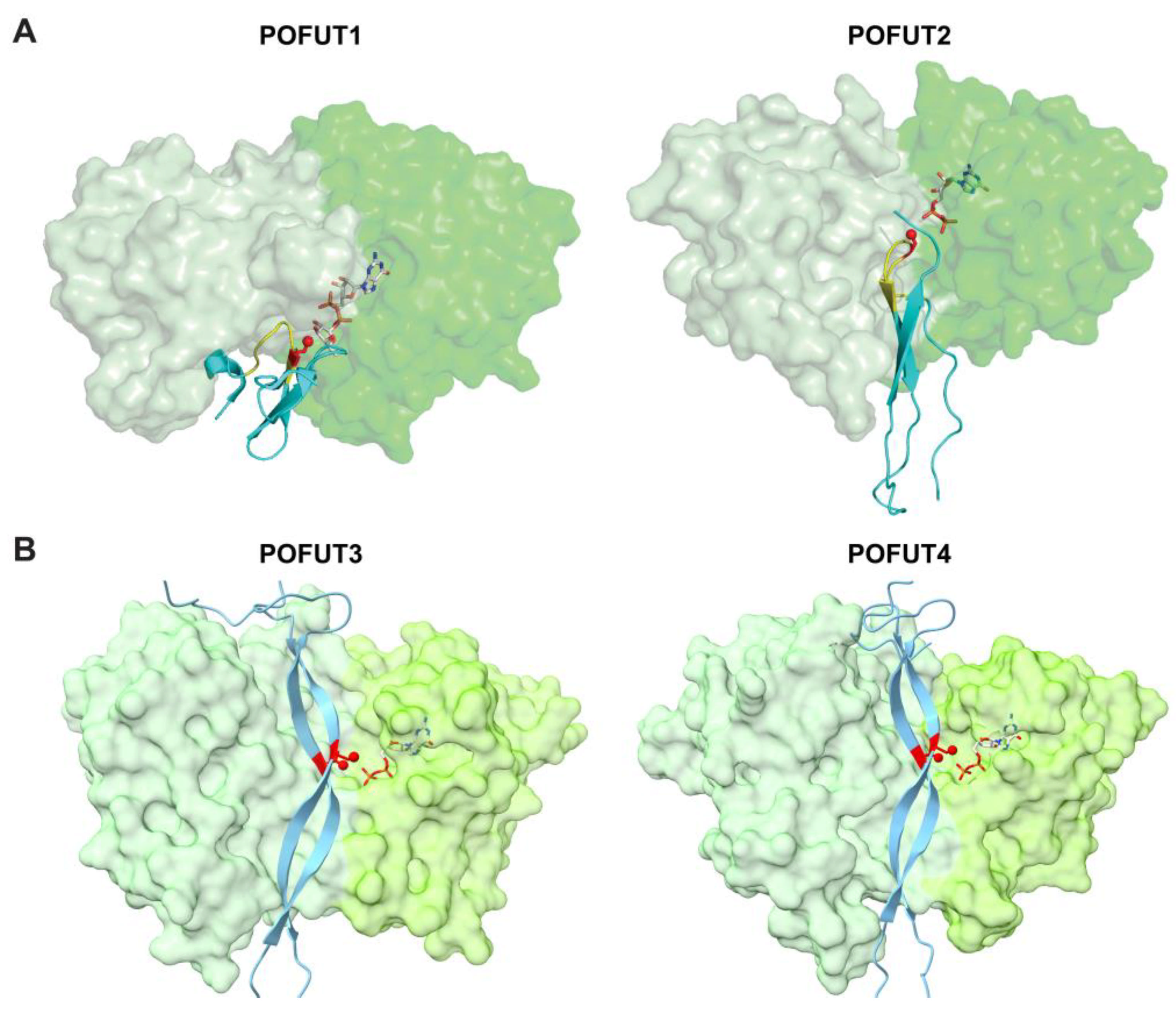 Molecules 30 01470 g006