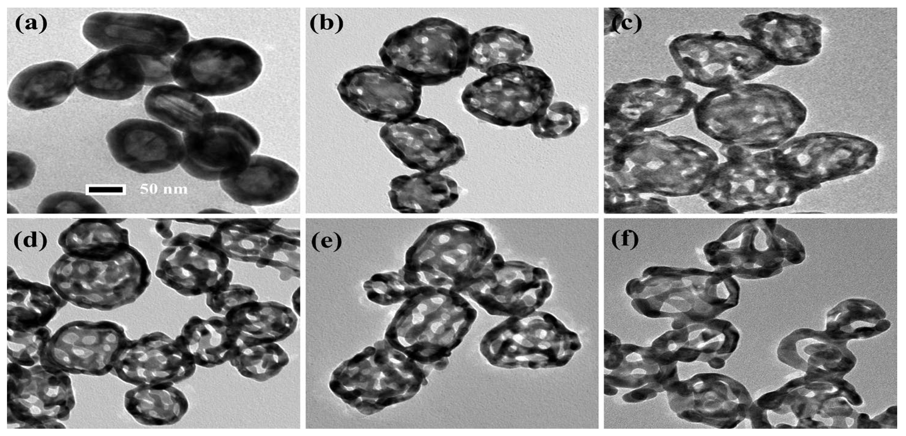 Molecules 30 01475 g001