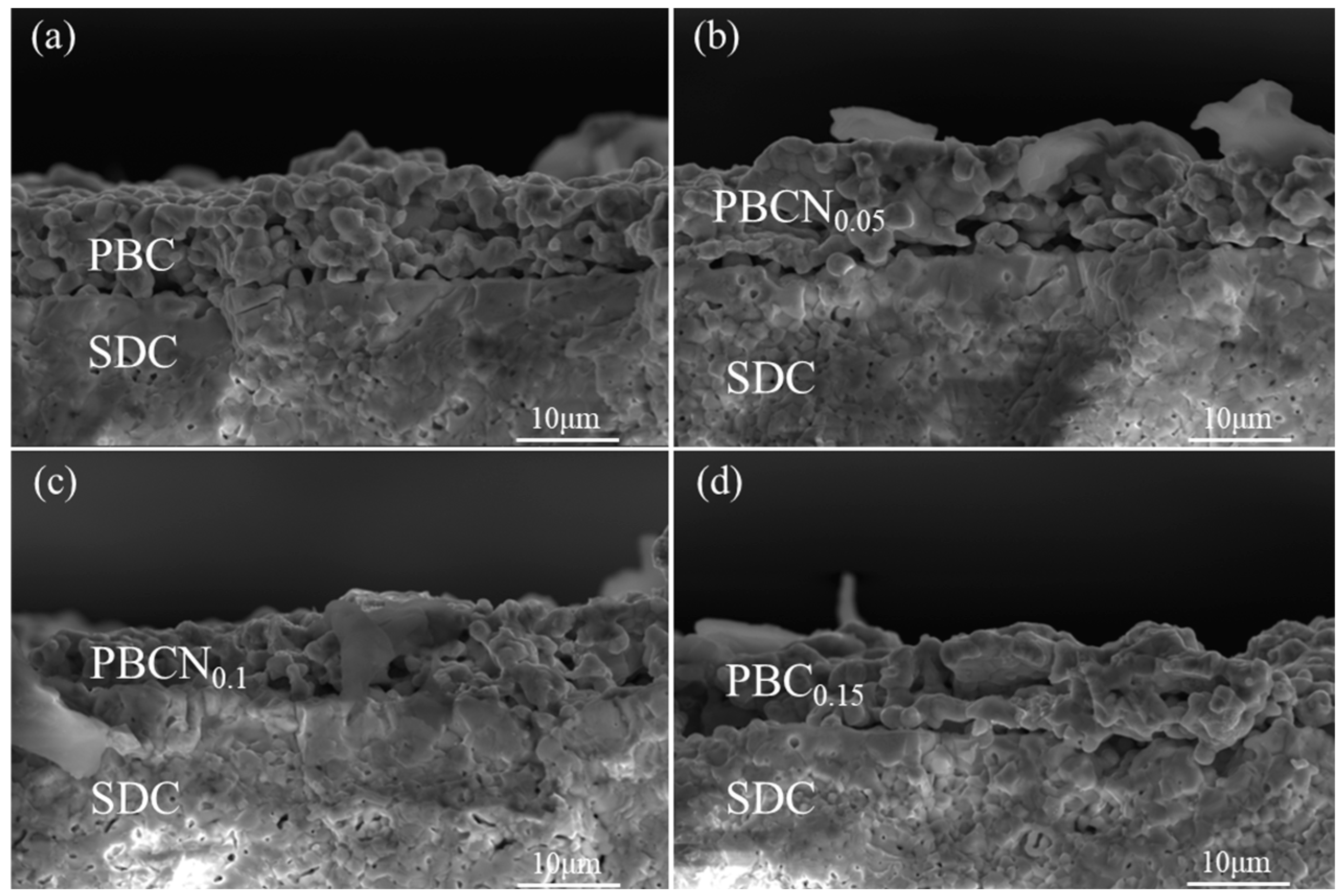 Molecules 30 01482 g003
