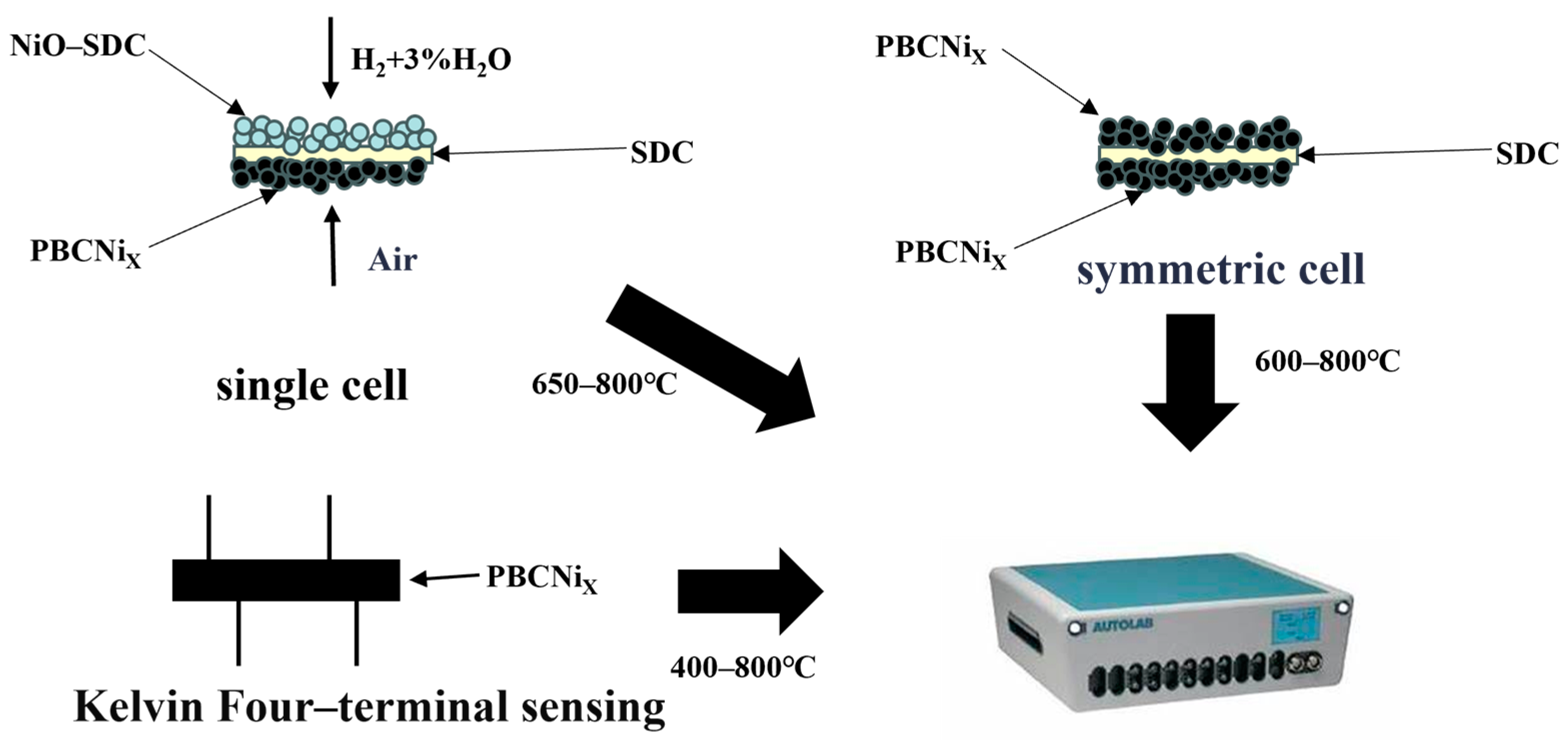 Molecules 30 01482 g011