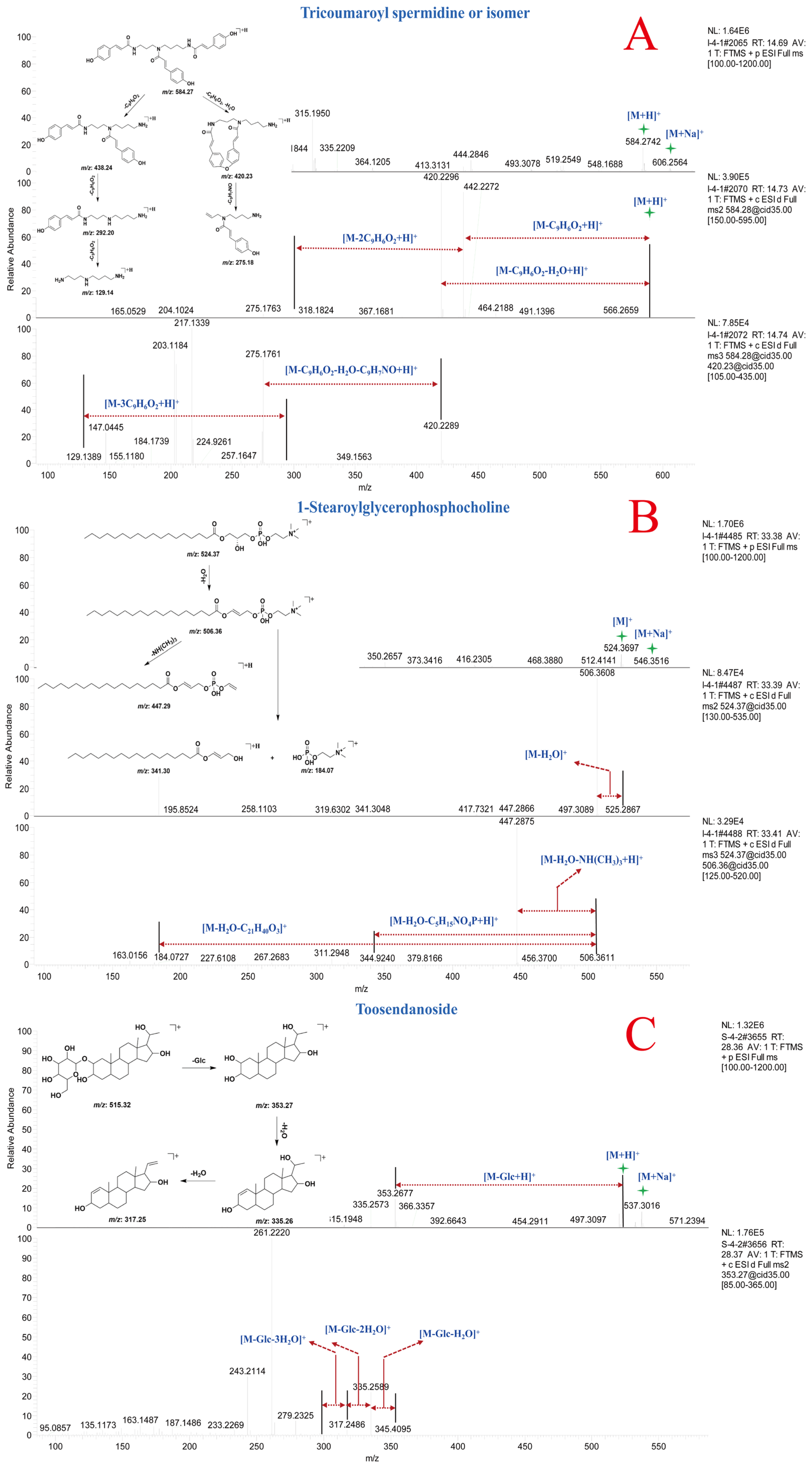 Molecules 30 01490 g005