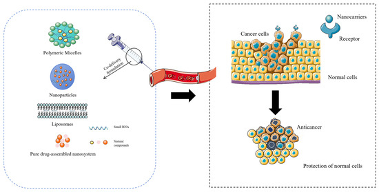 Airsky様 Single-Atom Catalysts for Hydrogen Evolution Reaction: The