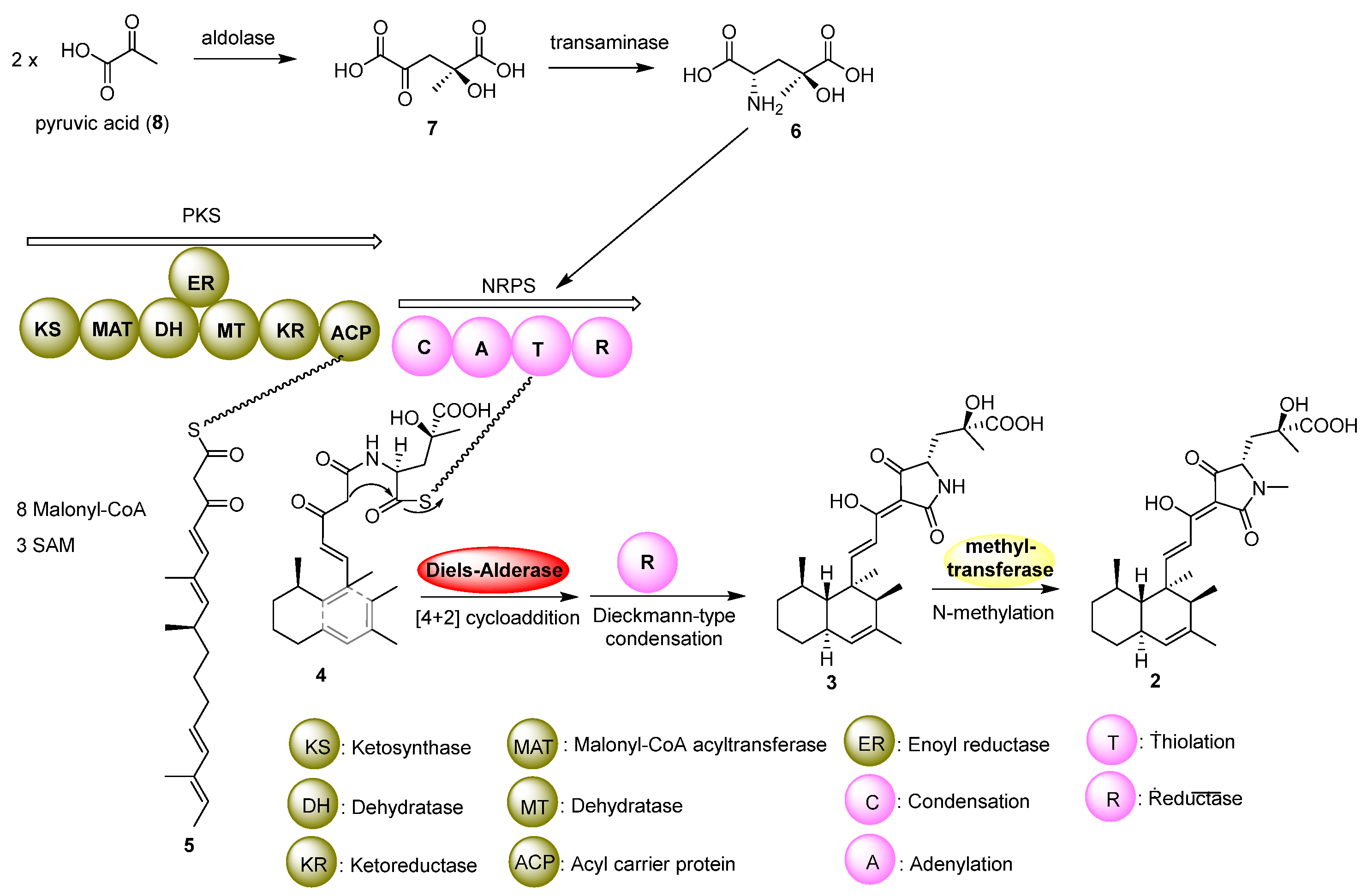 Molecules 30 01502 g004