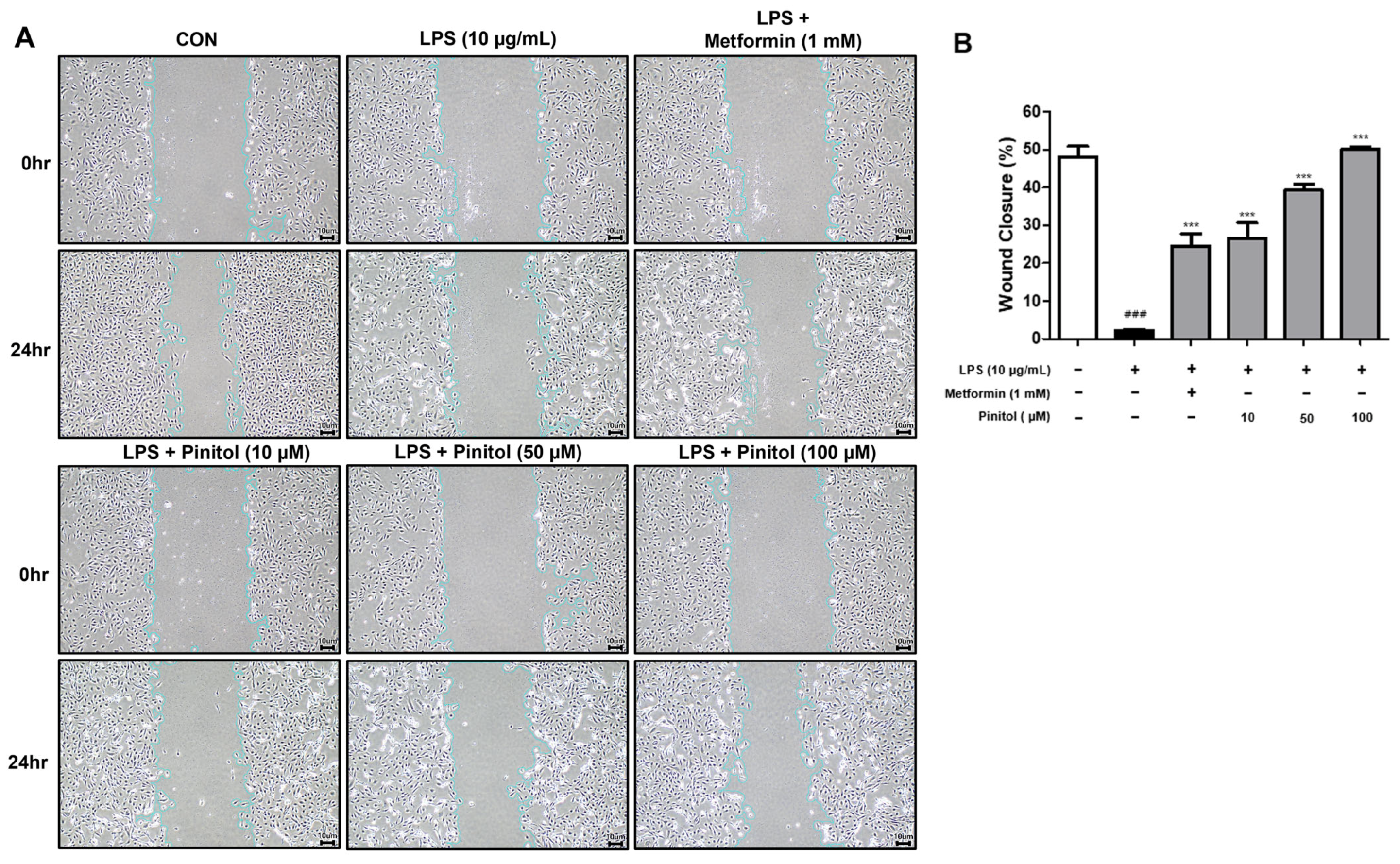 Molecules 30 01513 g002