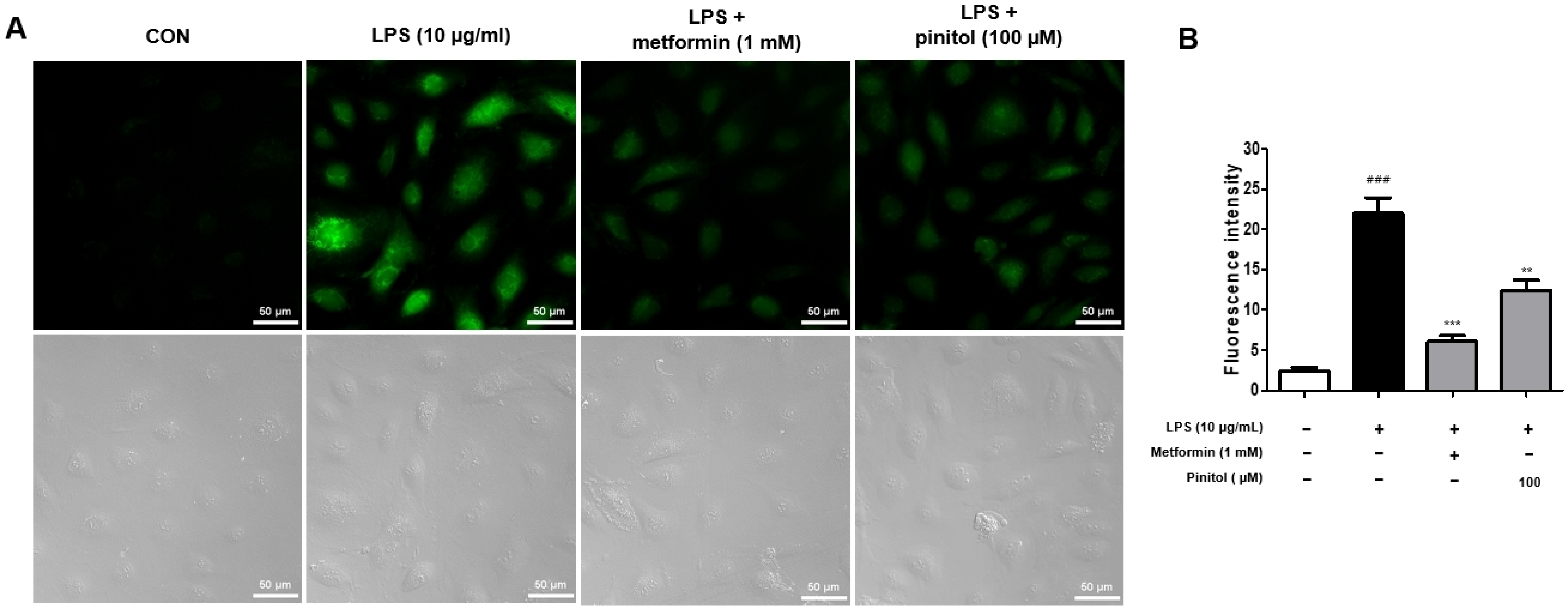 Molecules 30 01513 g003