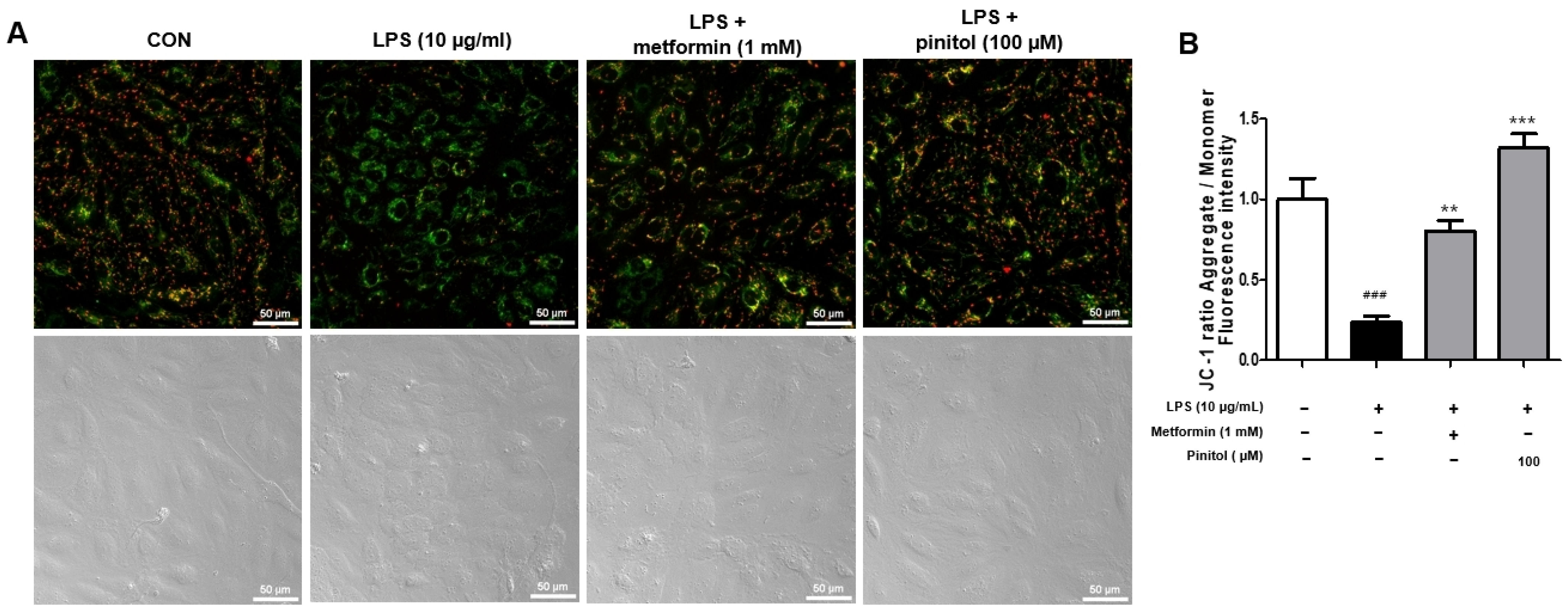 Molecules 30 01513 g004