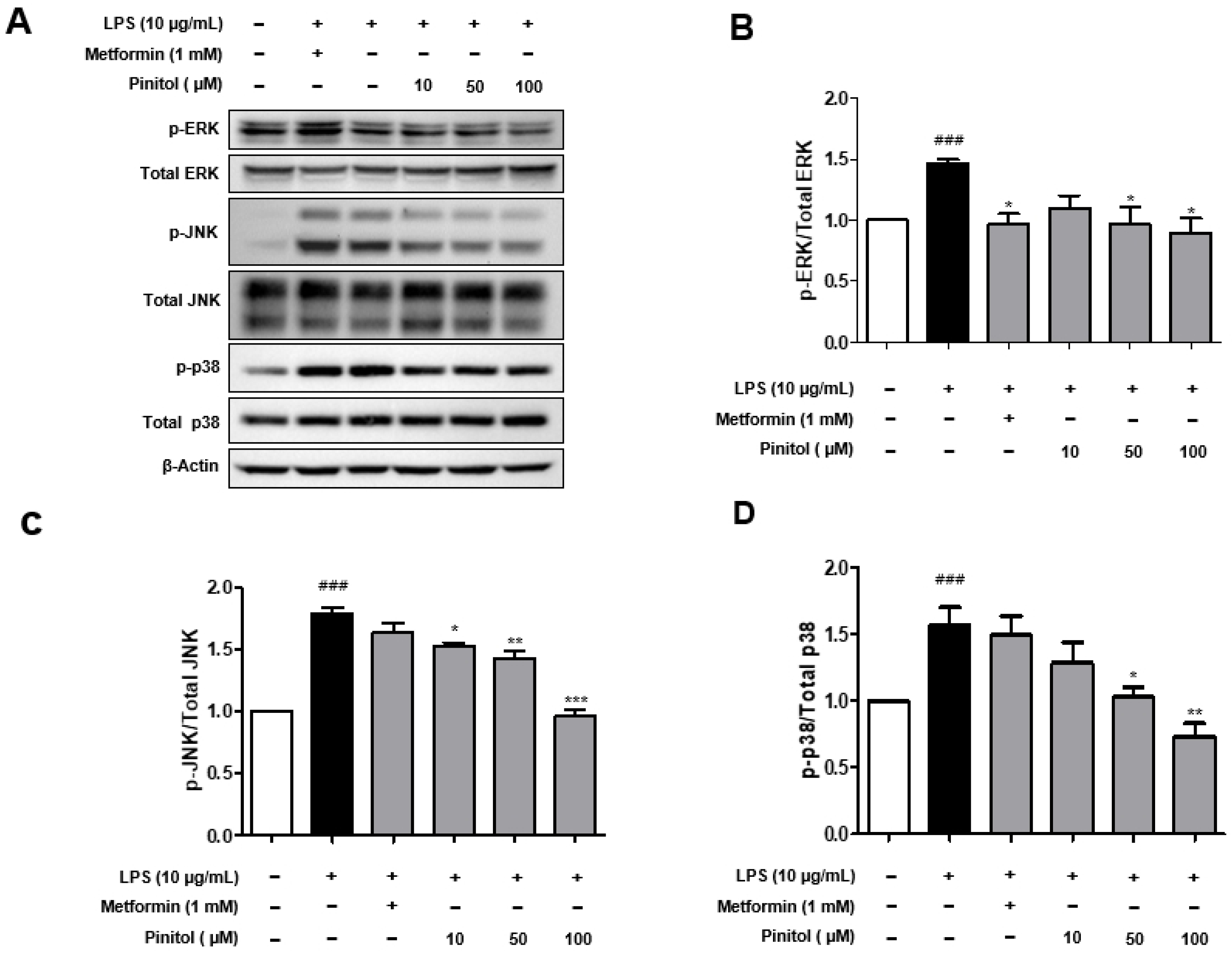 Molecules 30 01513 g006