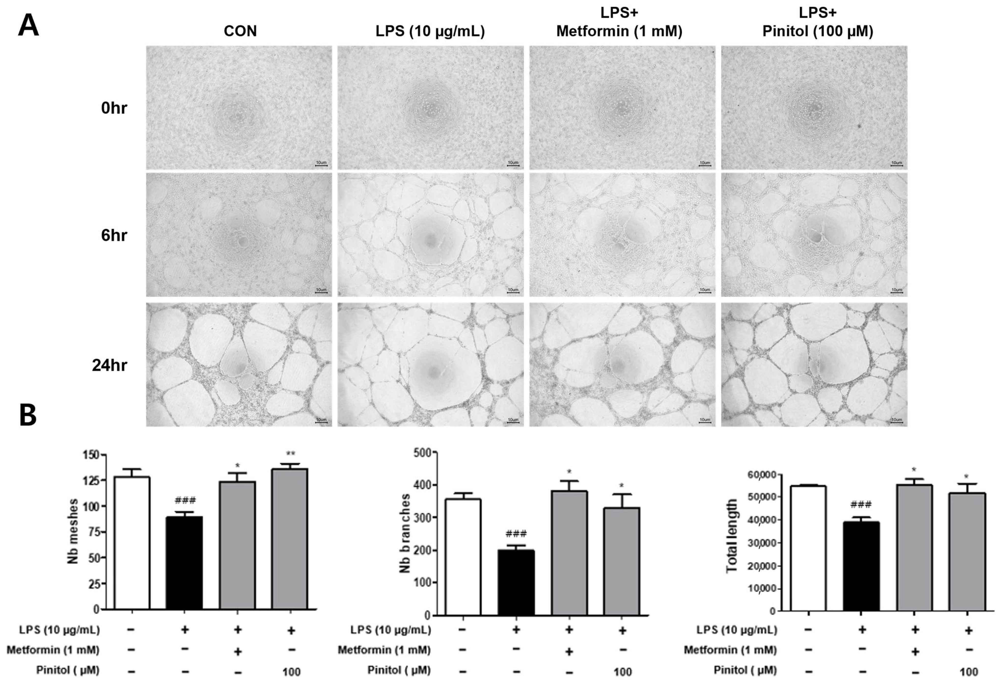 Molecules 30 01513 g007