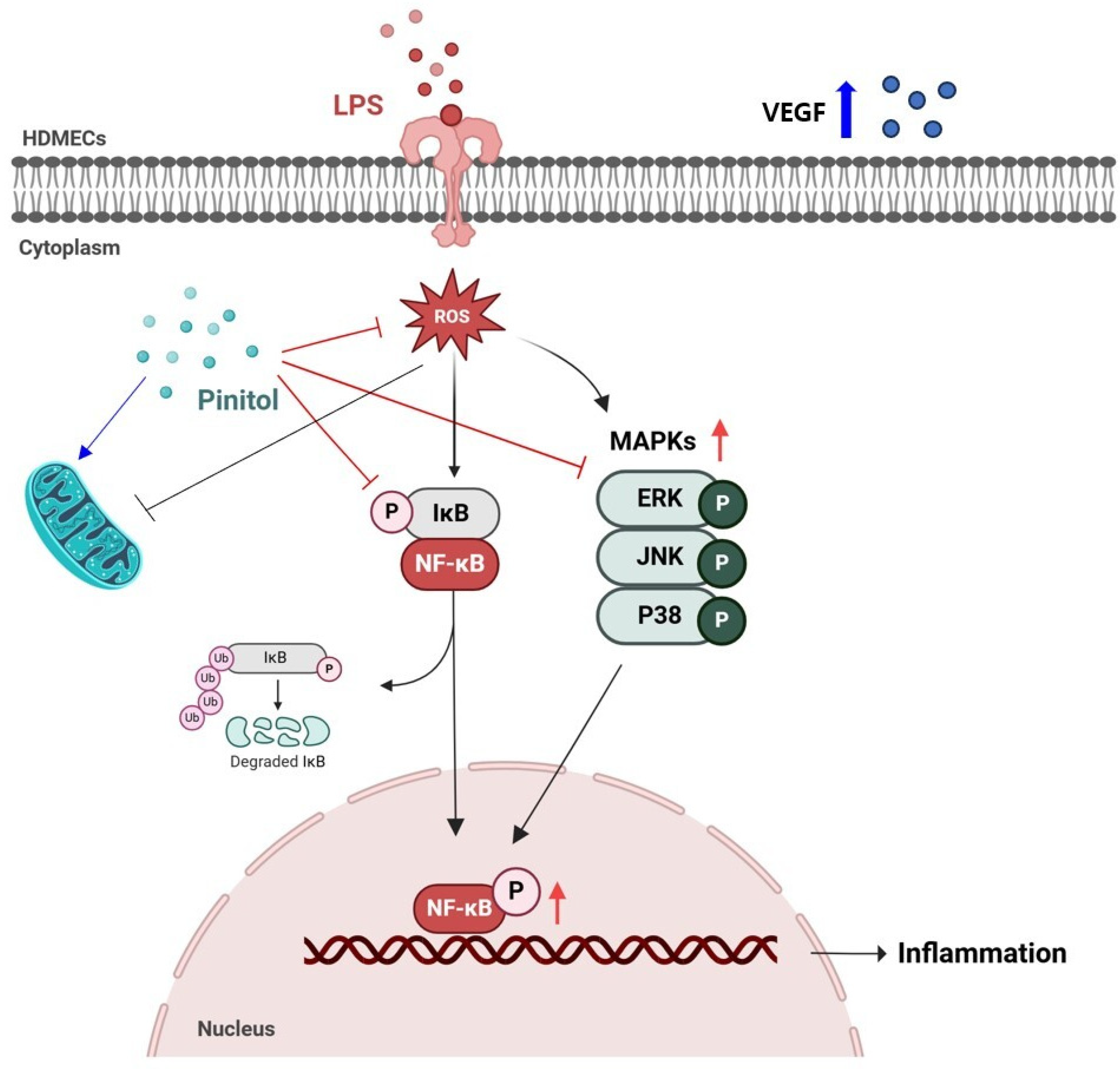Molecules 30 01513 g009
