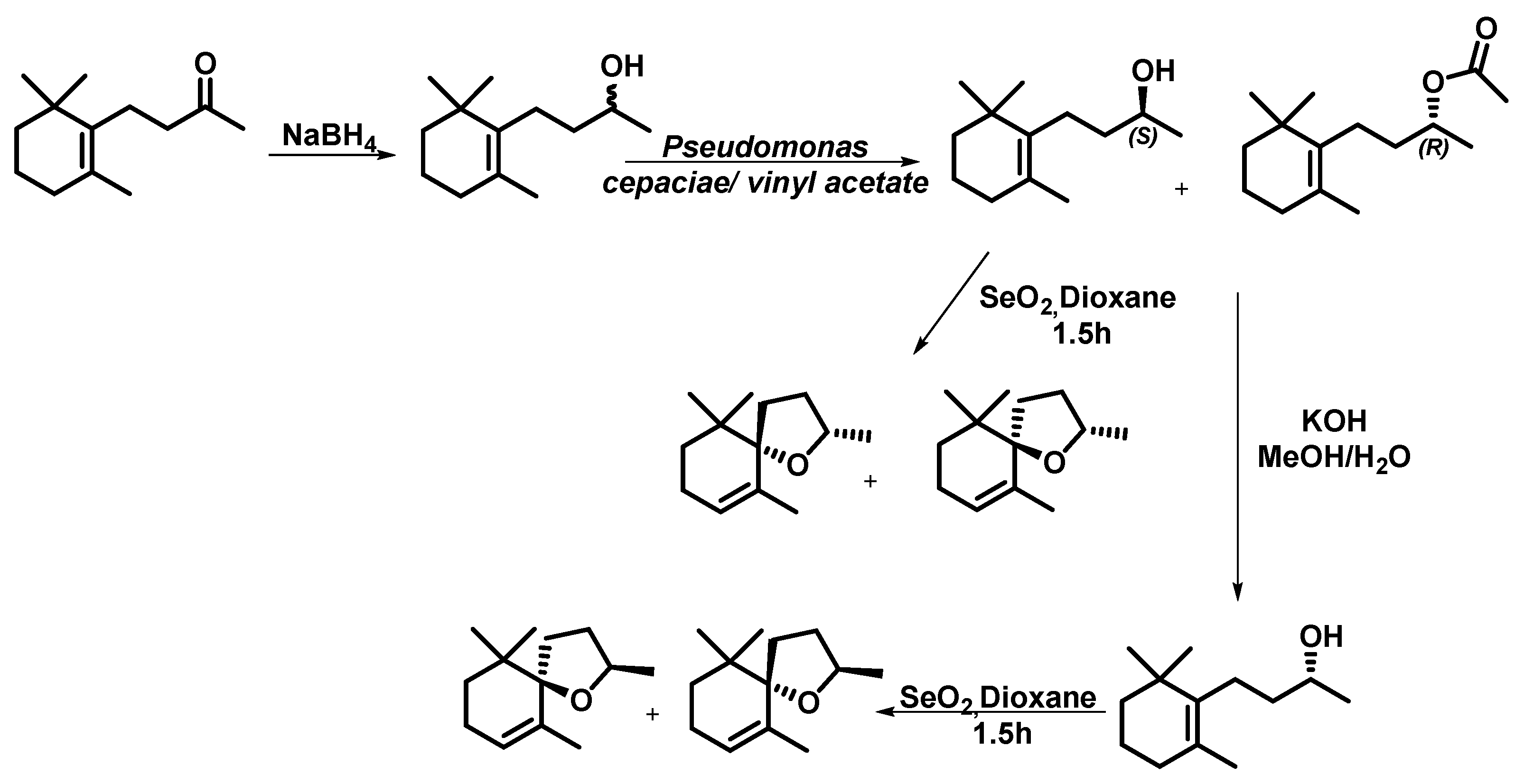 Molecules 30 01519 sch006
