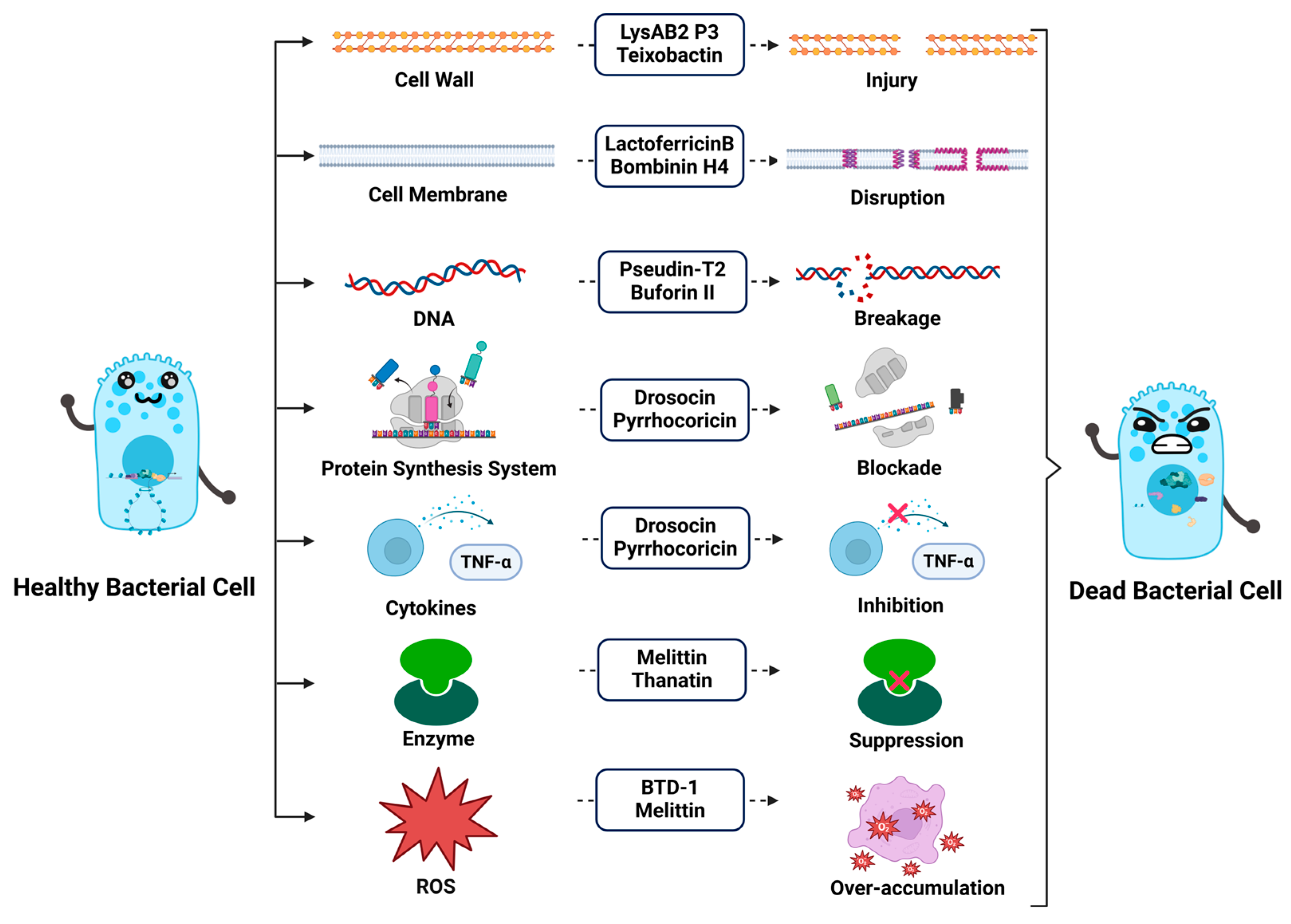 Molecules 30 01529 g002 Molecules 30 01529 g002