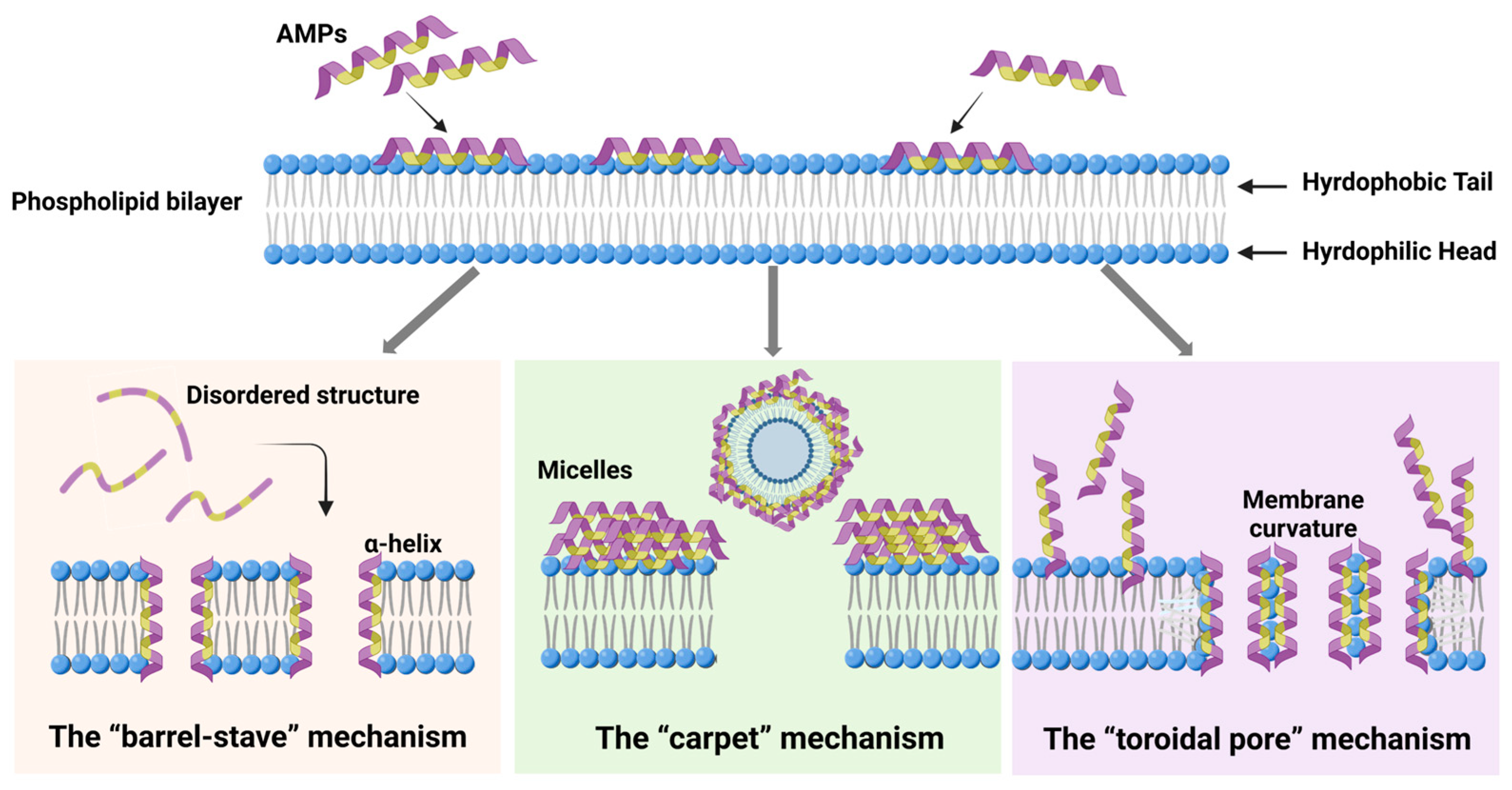 Molecules 30 01529 g003 Molecules 30 01529 g003