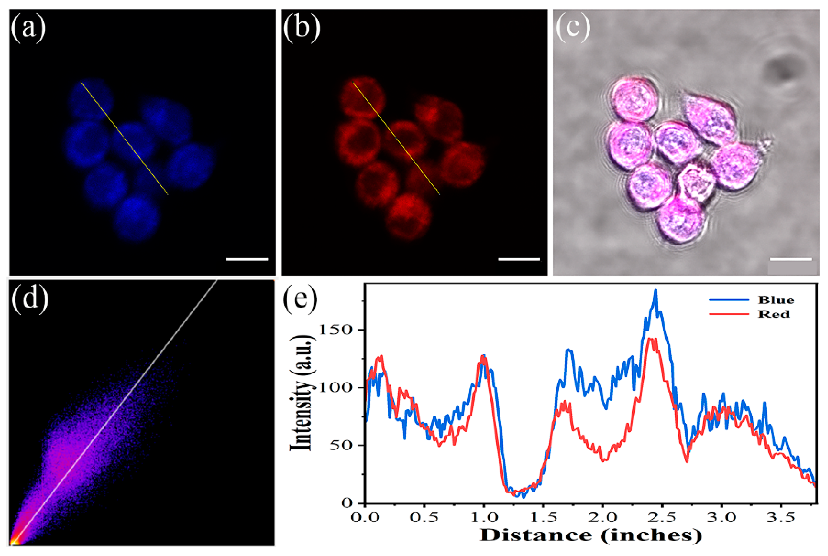 Molecules 30 01531 g003