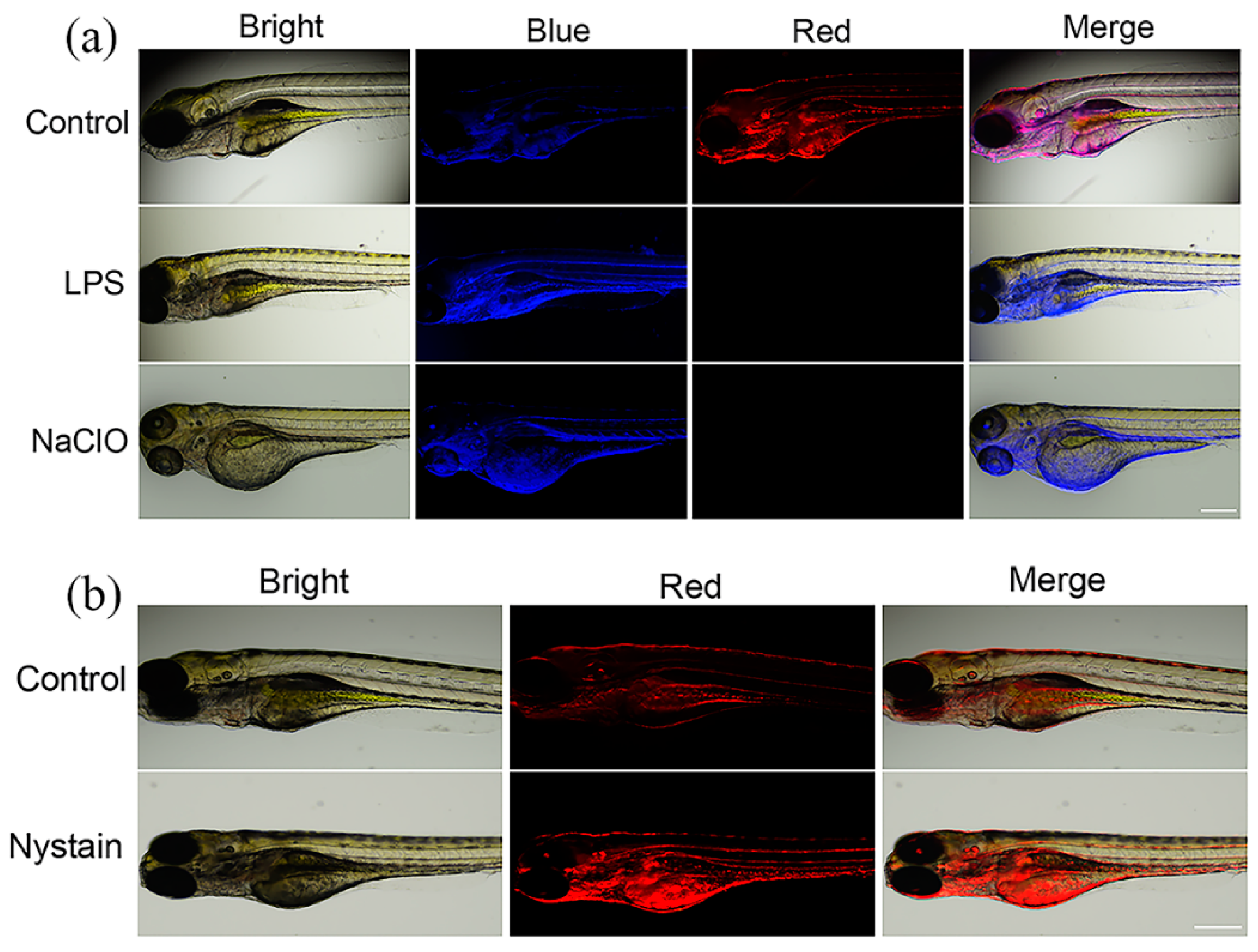 Molecules 30 01531 g005