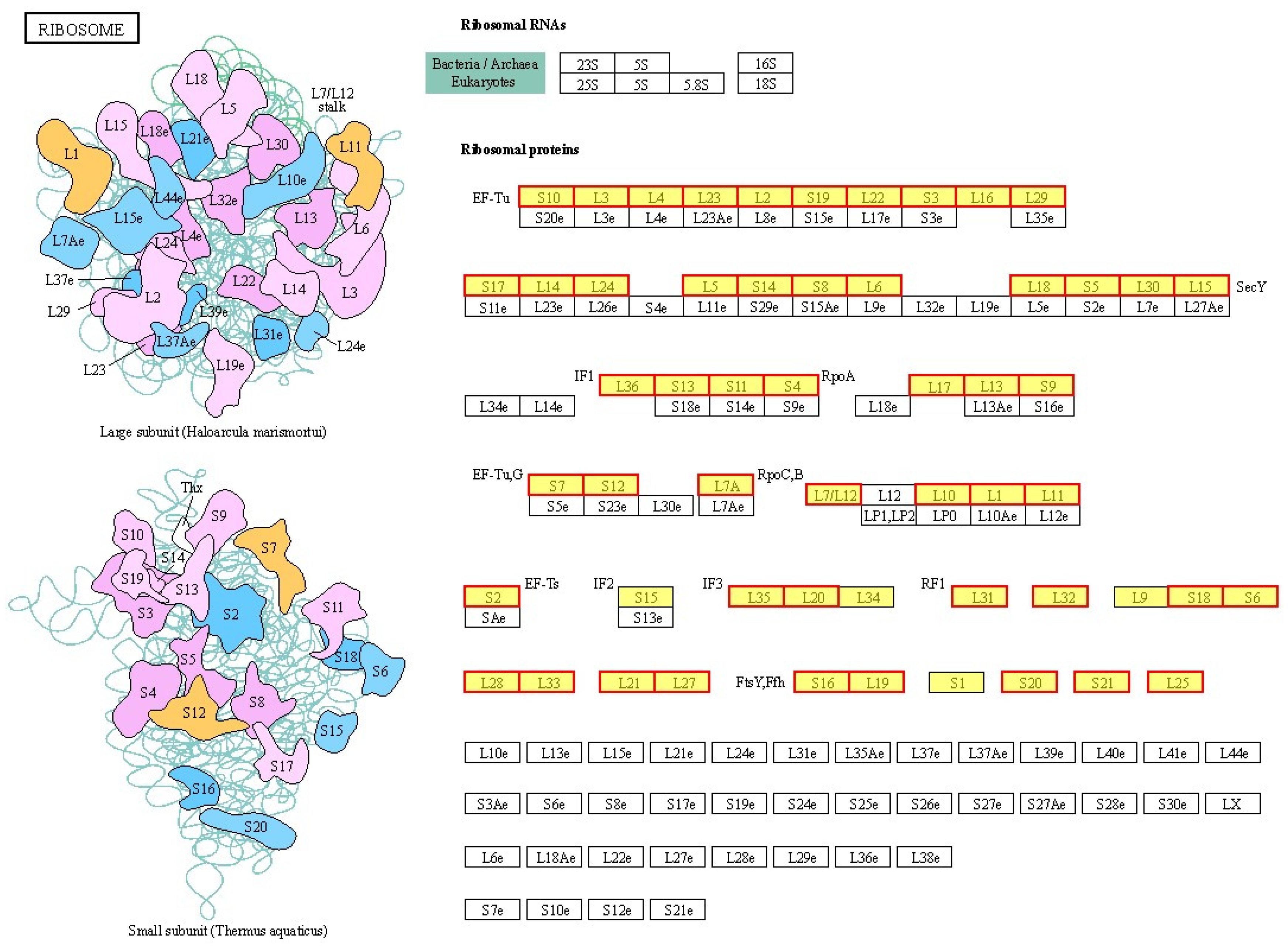 Molecules 30 01542 g007