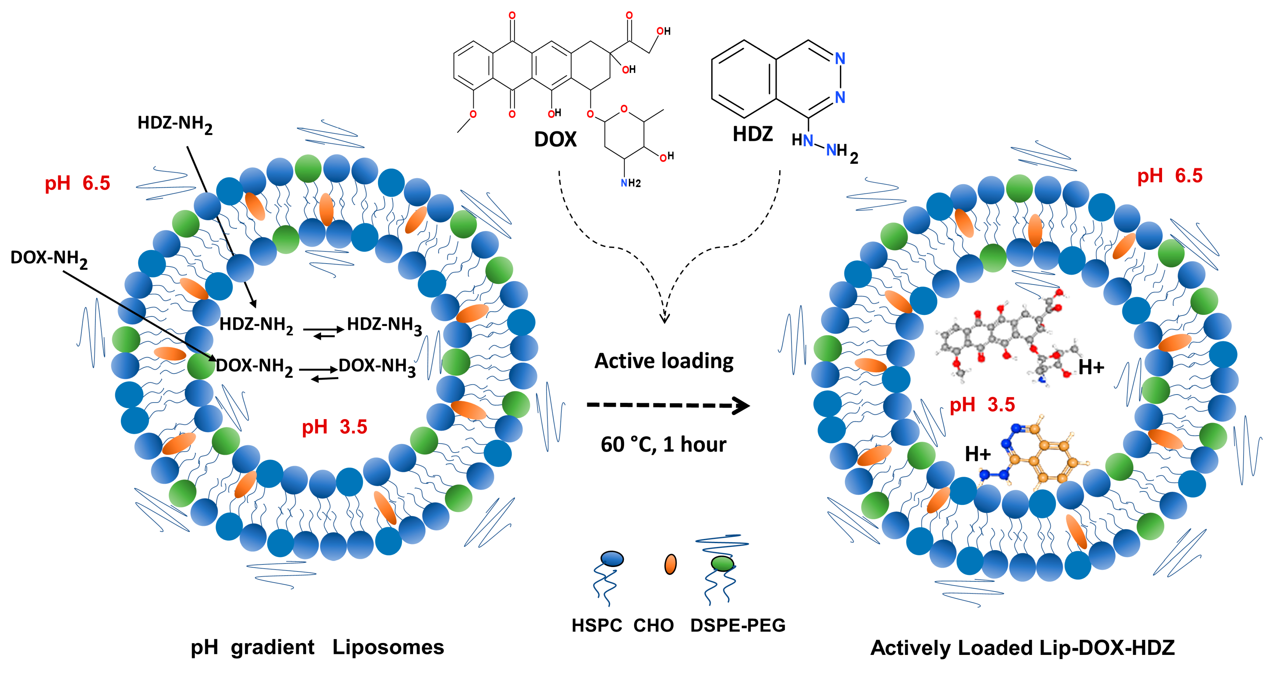 Molecules 30 01549 g001