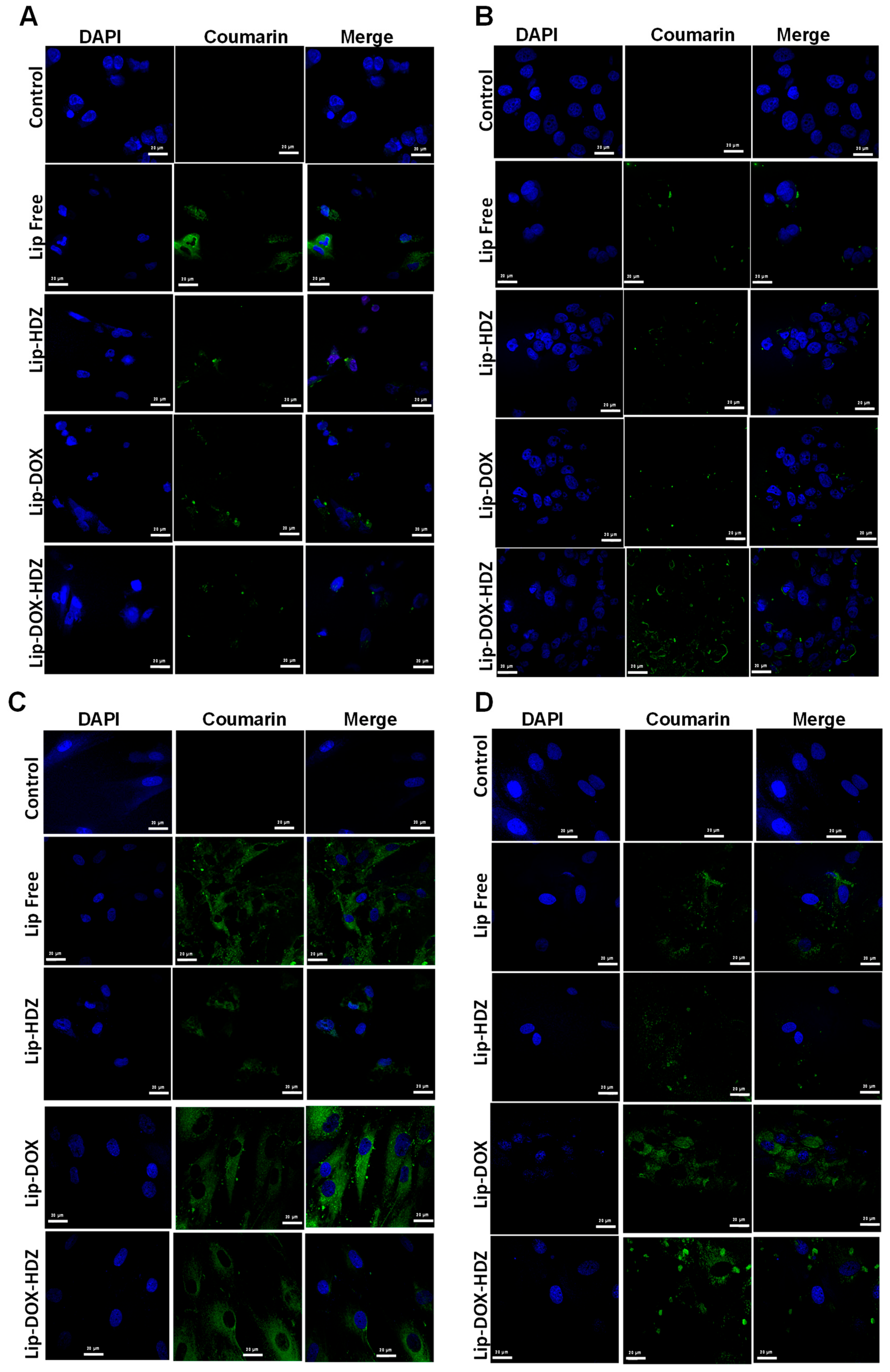 Molecules 30 01549 g007