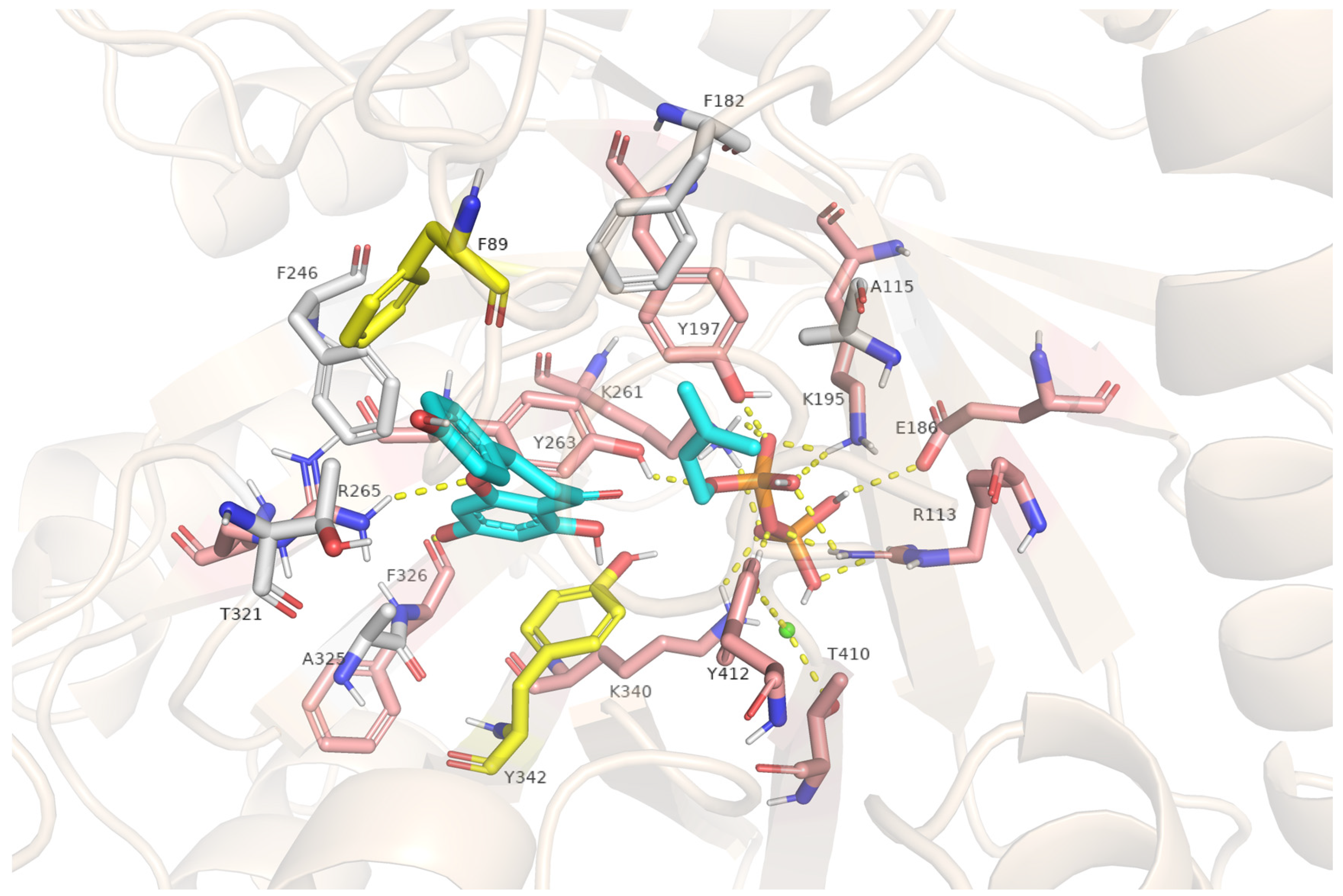 Molecules 30 01558 g005