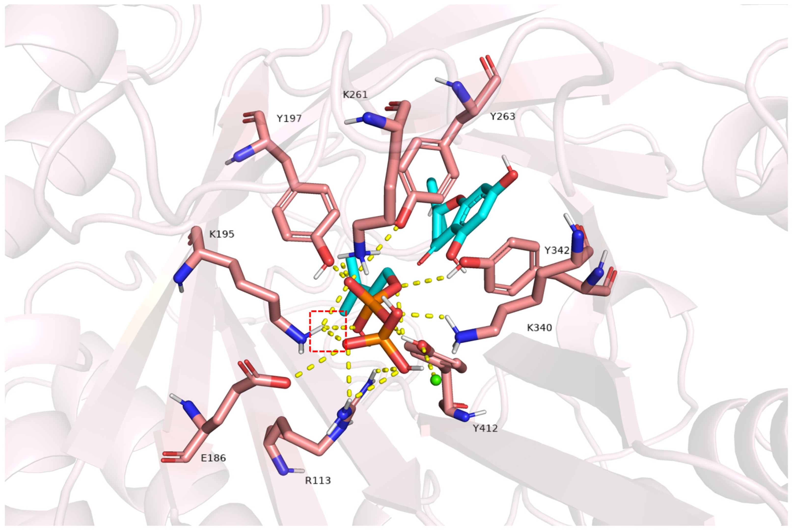 Molecules 30 01558 g008